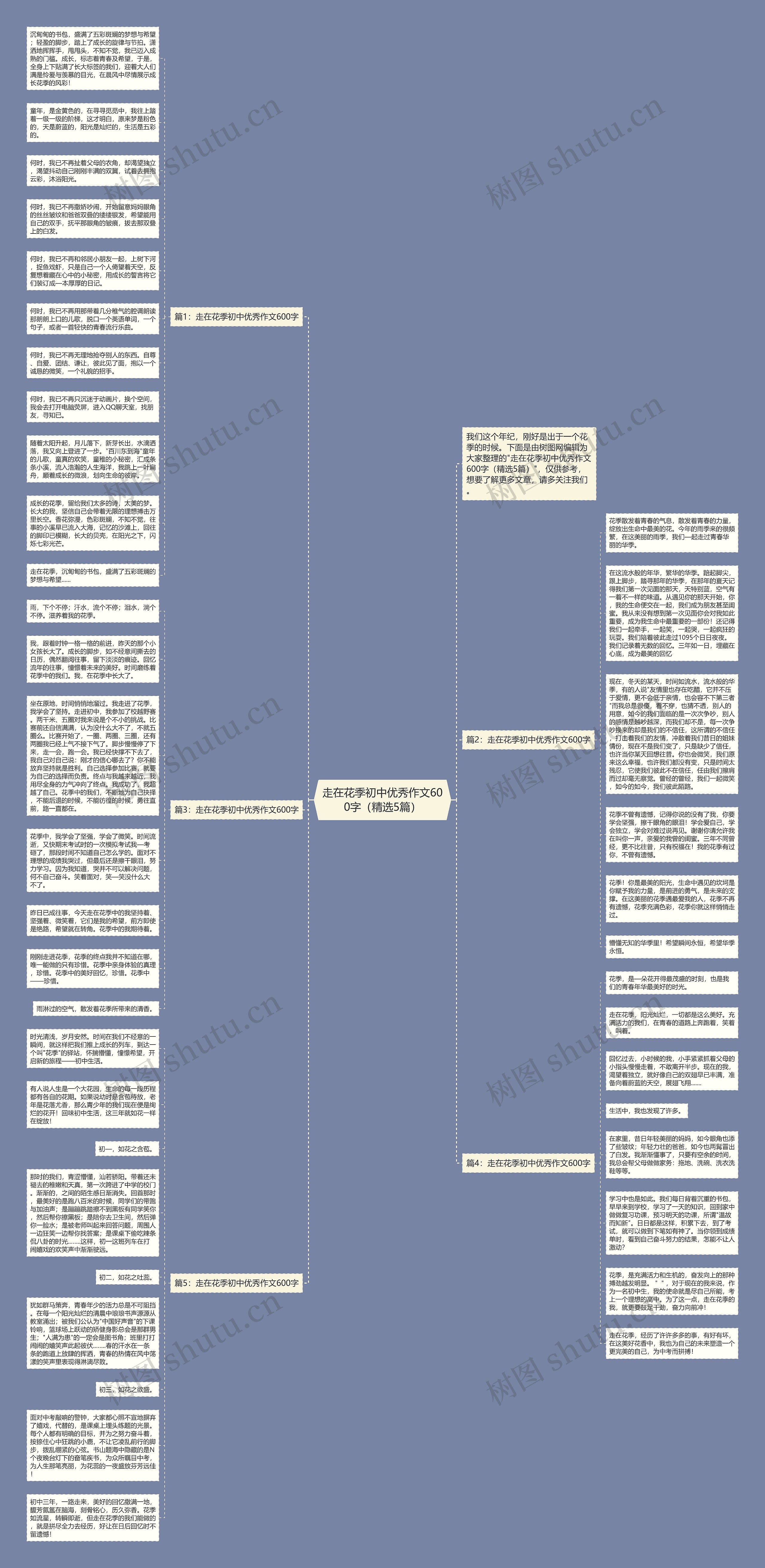 走在花季初中优秀作文600字（精选5篇）思维导图