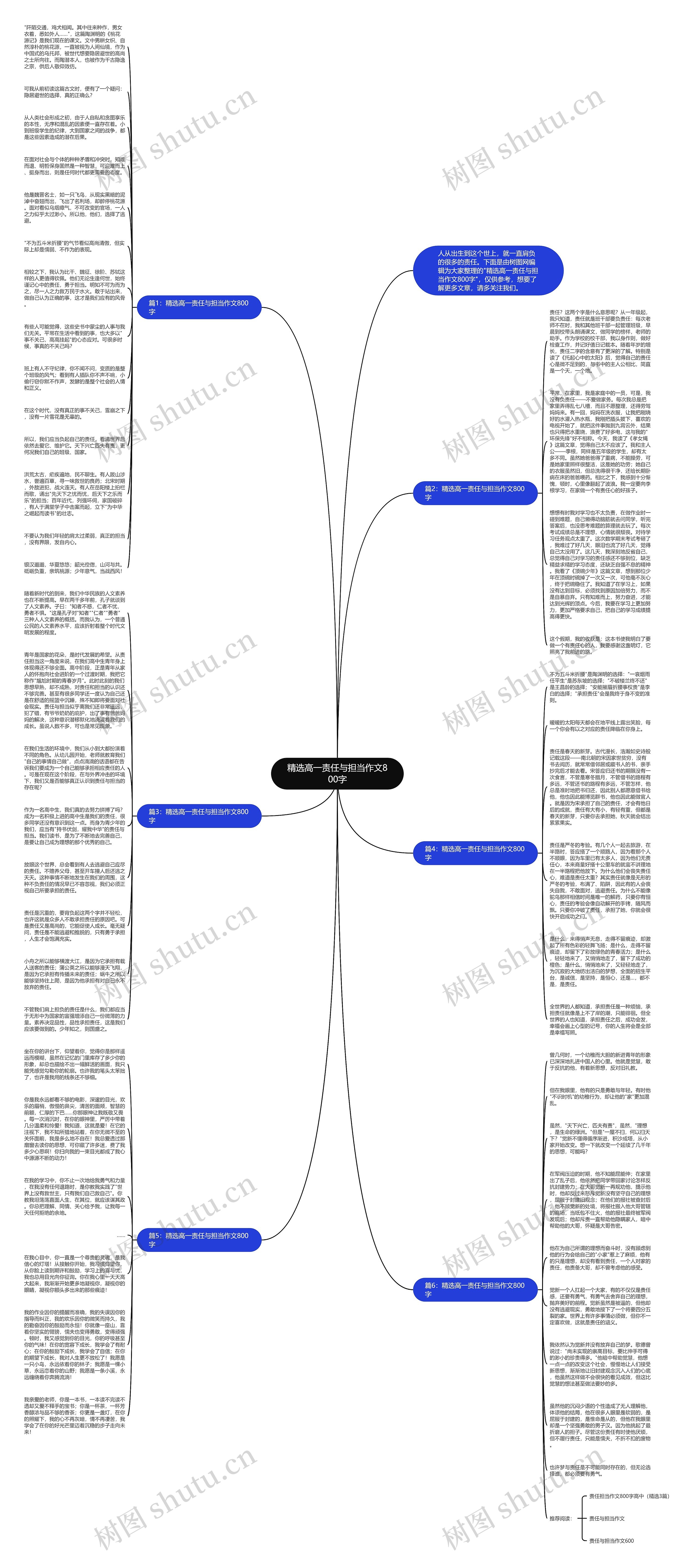 精选高一责任与担当作文800字思维导图
