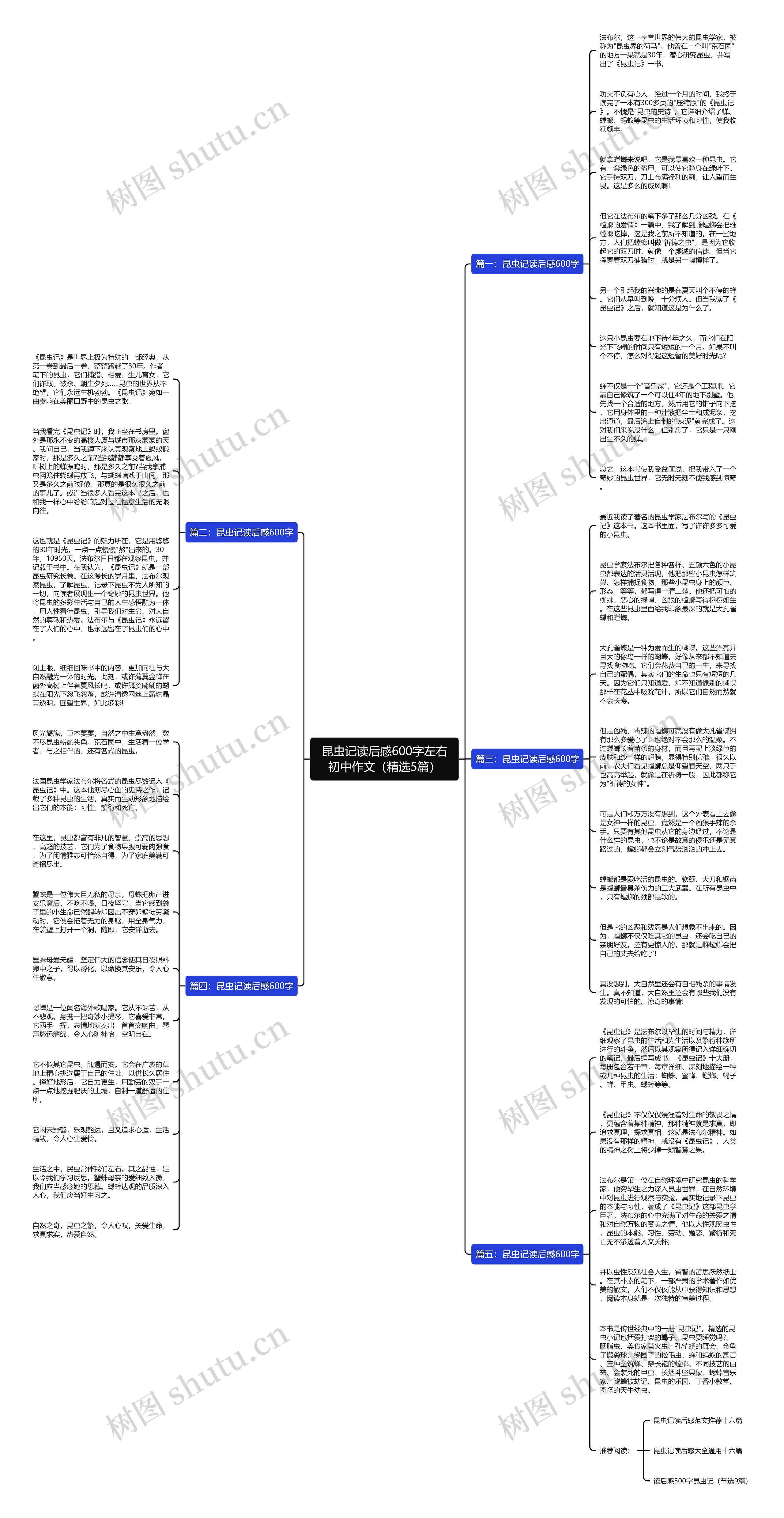 昆虫记读后感600字左右初中作文（精选5篇）思维导图