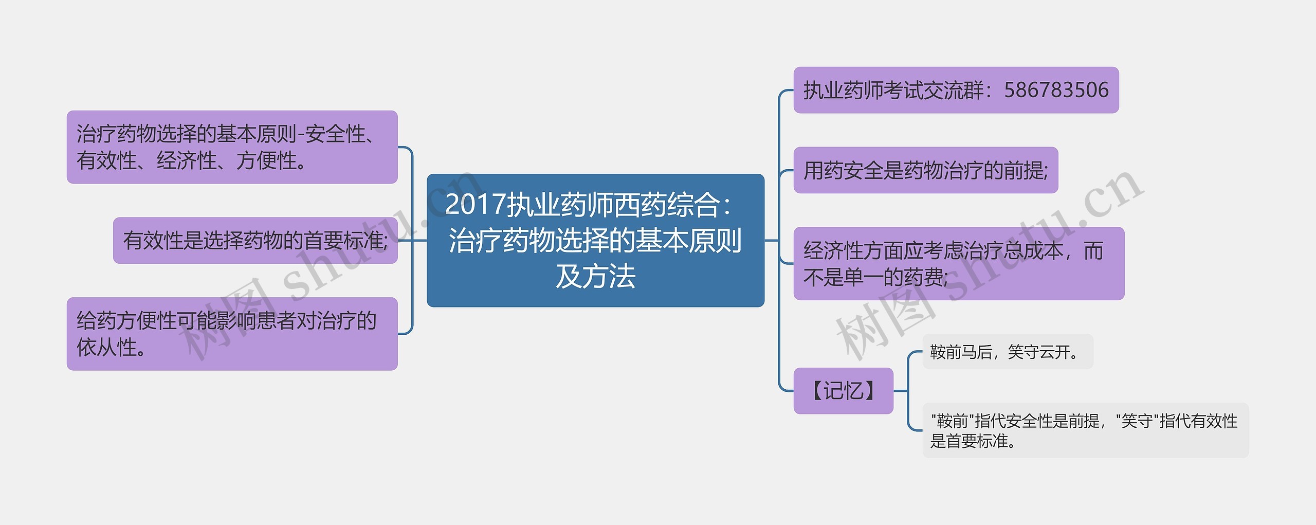 2017执业药师西药综合：治疗药物选择的基本原则及方法