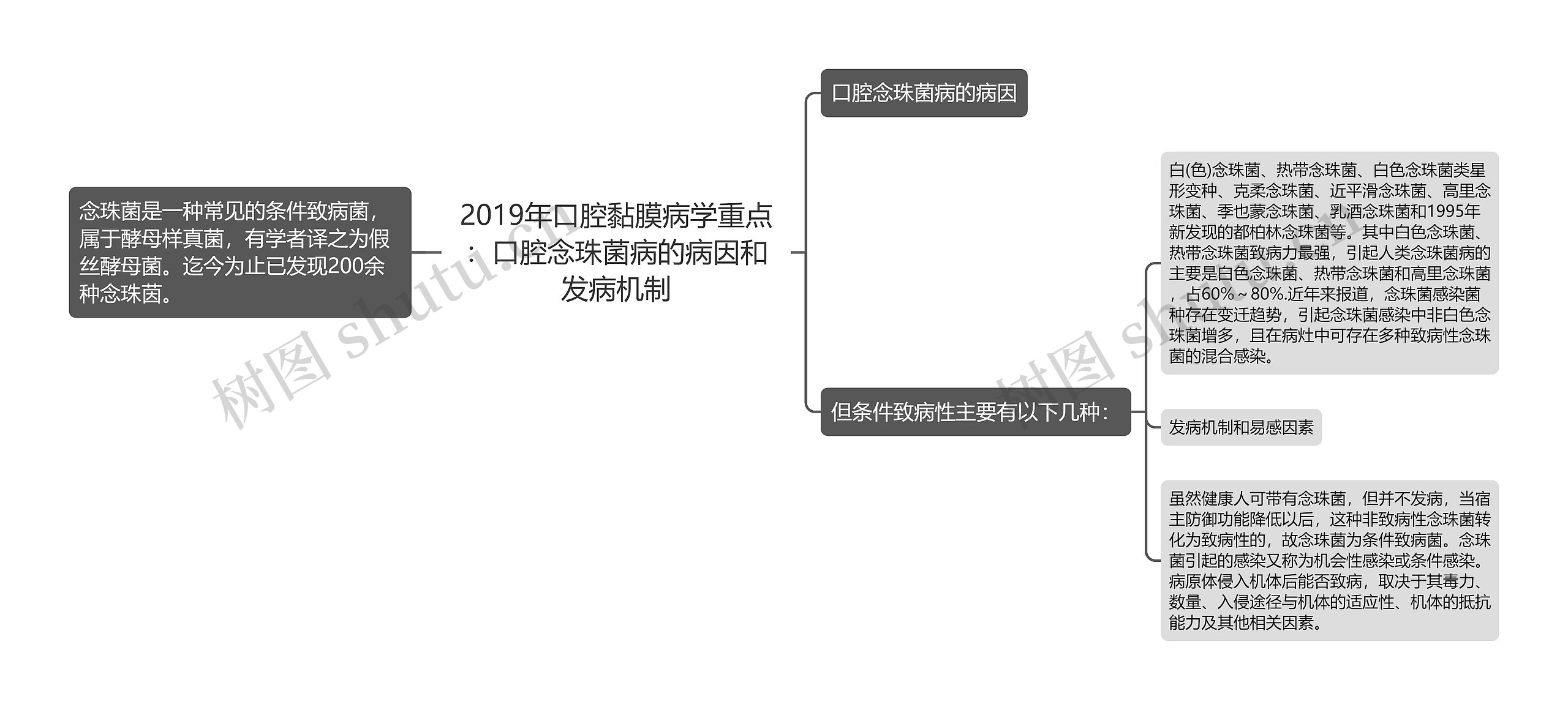 2019年口腔黏膜病学重点：口腔念珠菌病的病因和发病机制