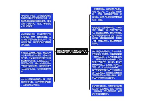 阳光总在风雨后励志作文