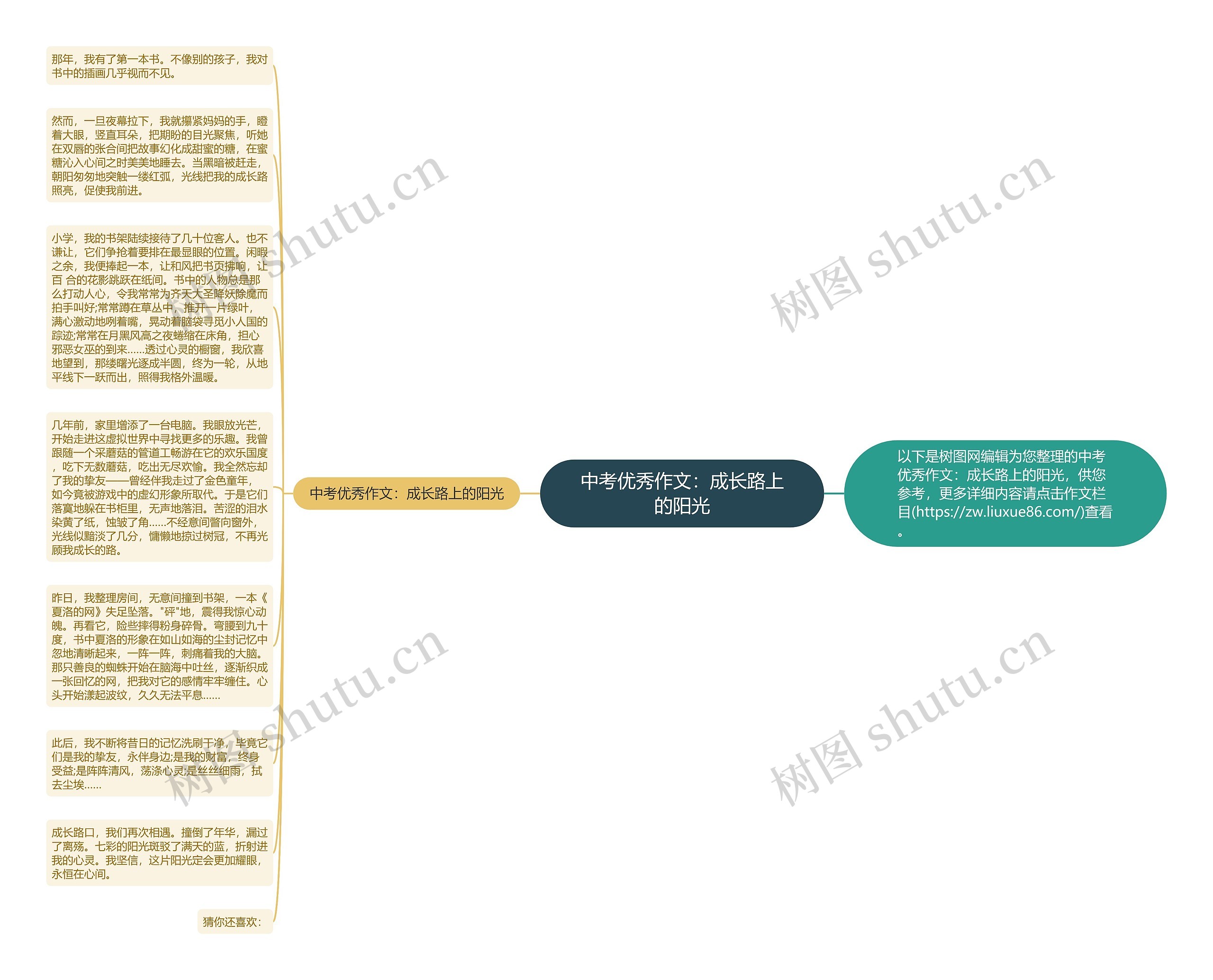 中考优秀作文：成长路上的阳光思维导图