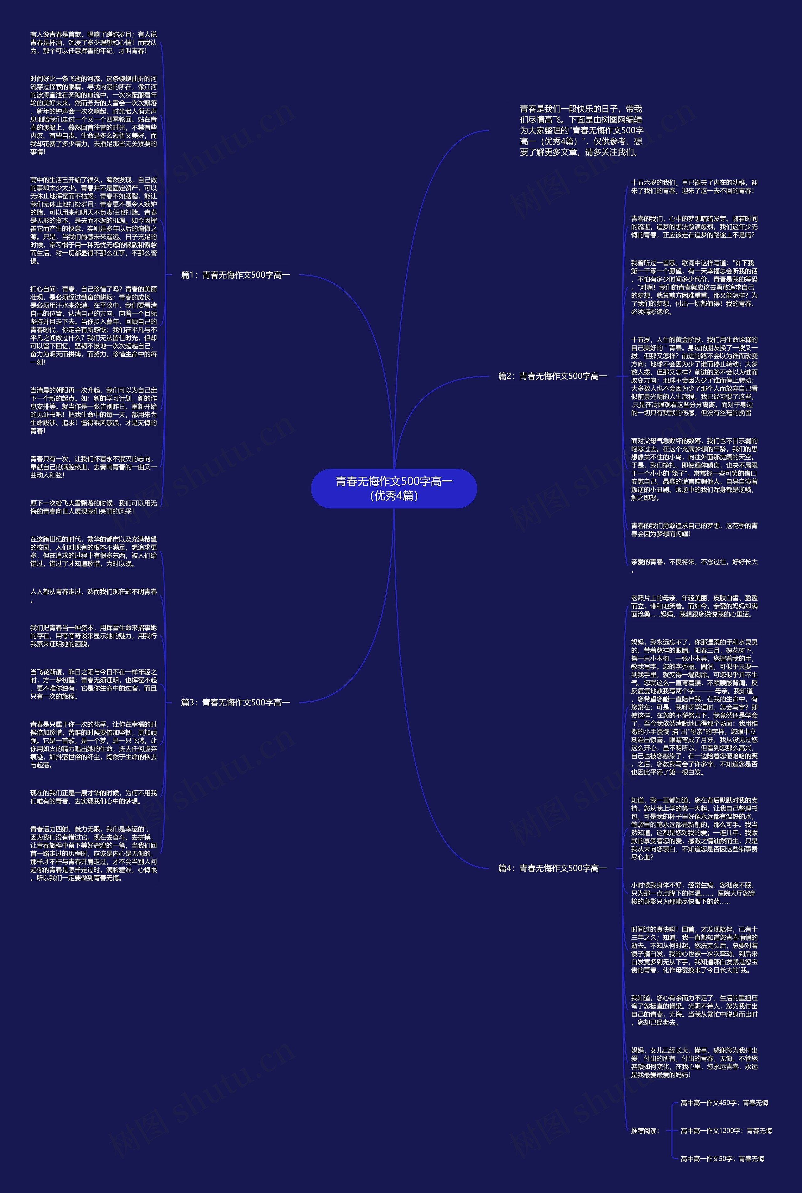青春无悔作文500字高一（优秀4篇）思维导图
