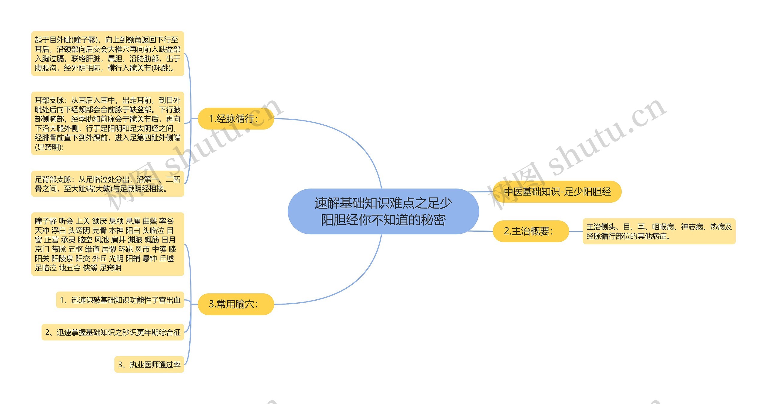 速解基础知识难点之足少阳胆经你不知道的秘密