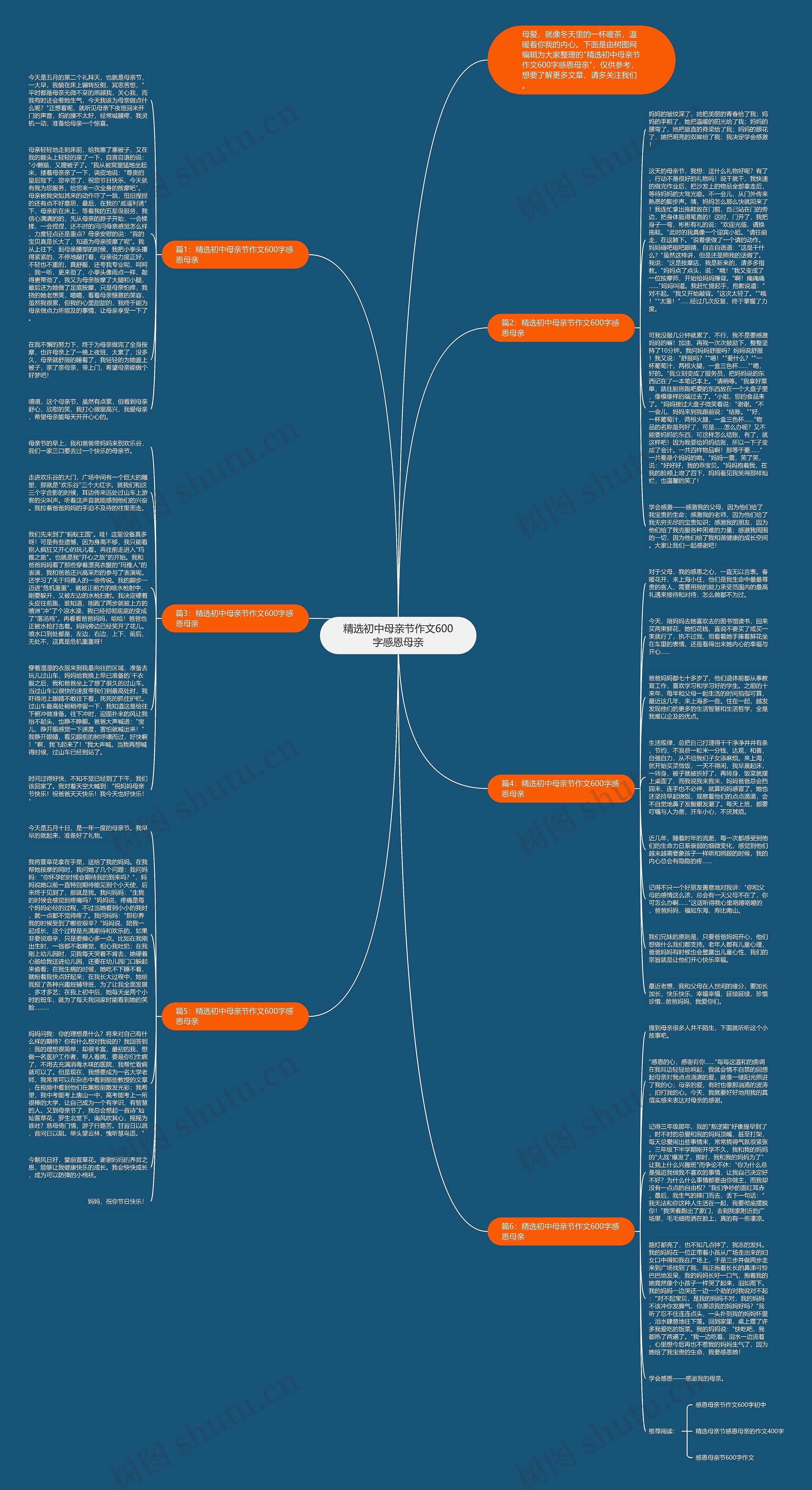 精选初中母亲节作文600字感恩母亲思维导图