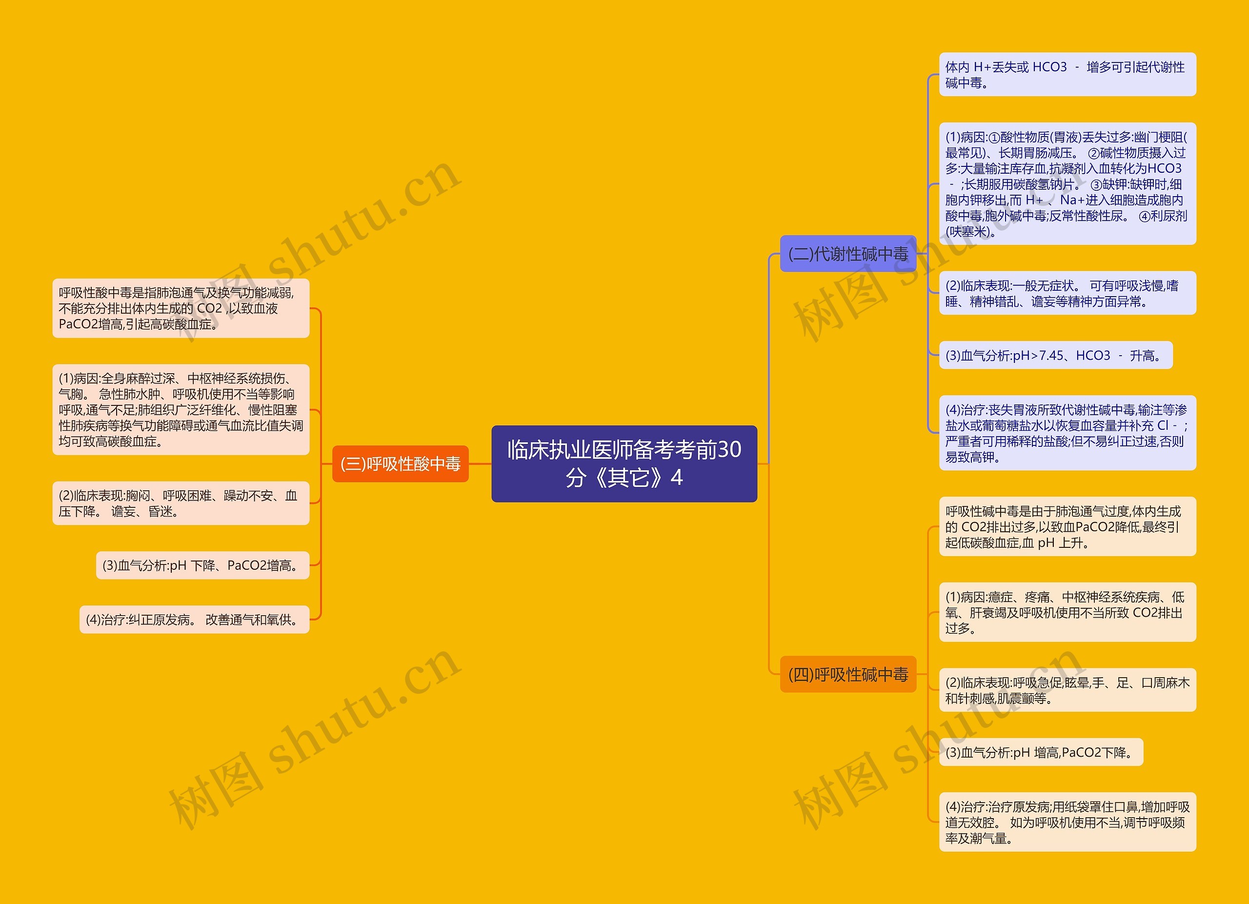 临床执业医师备考考前30分《其它》4思维导图