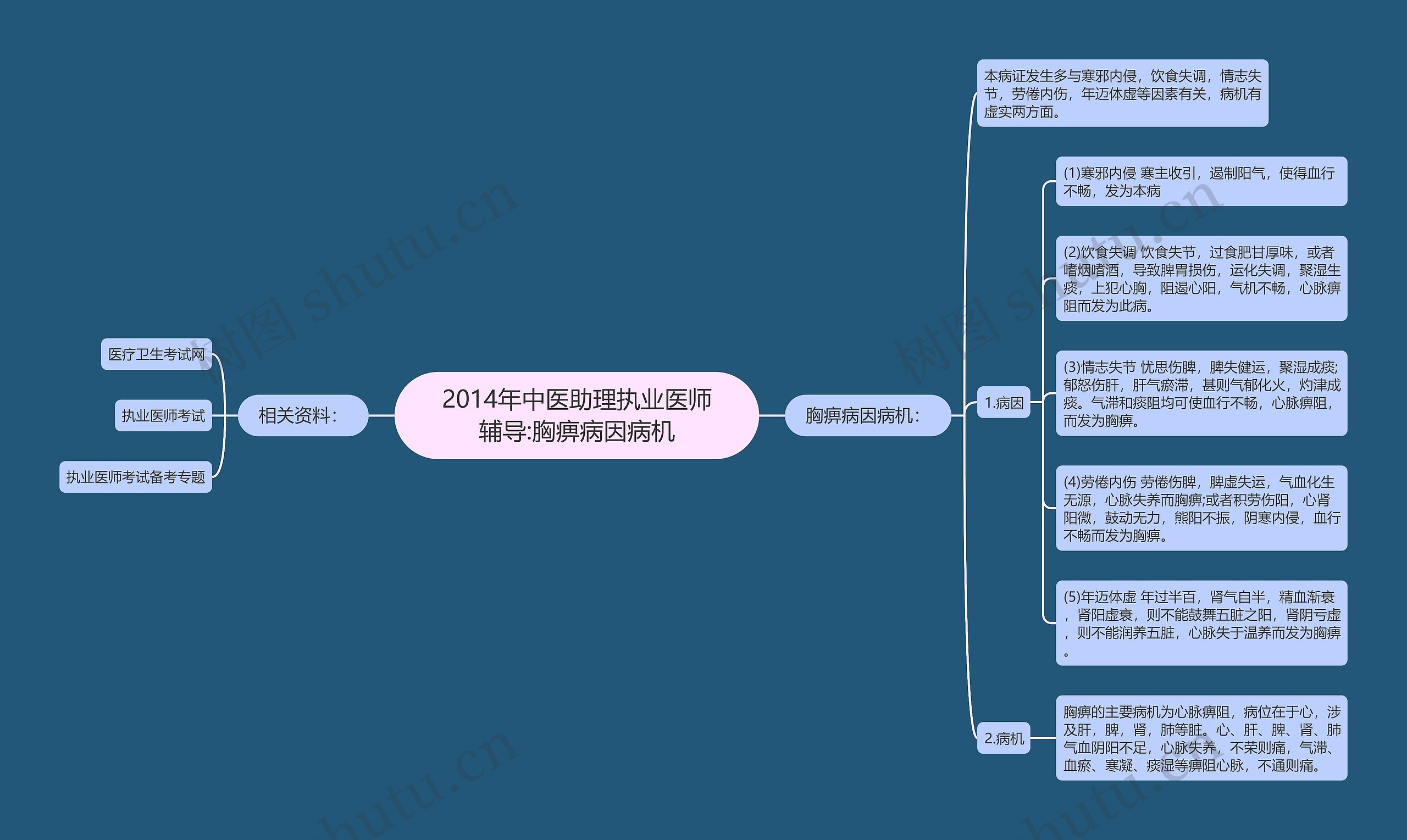 2014年中医助理执业医师辅导:胸痹病因病机思维导图