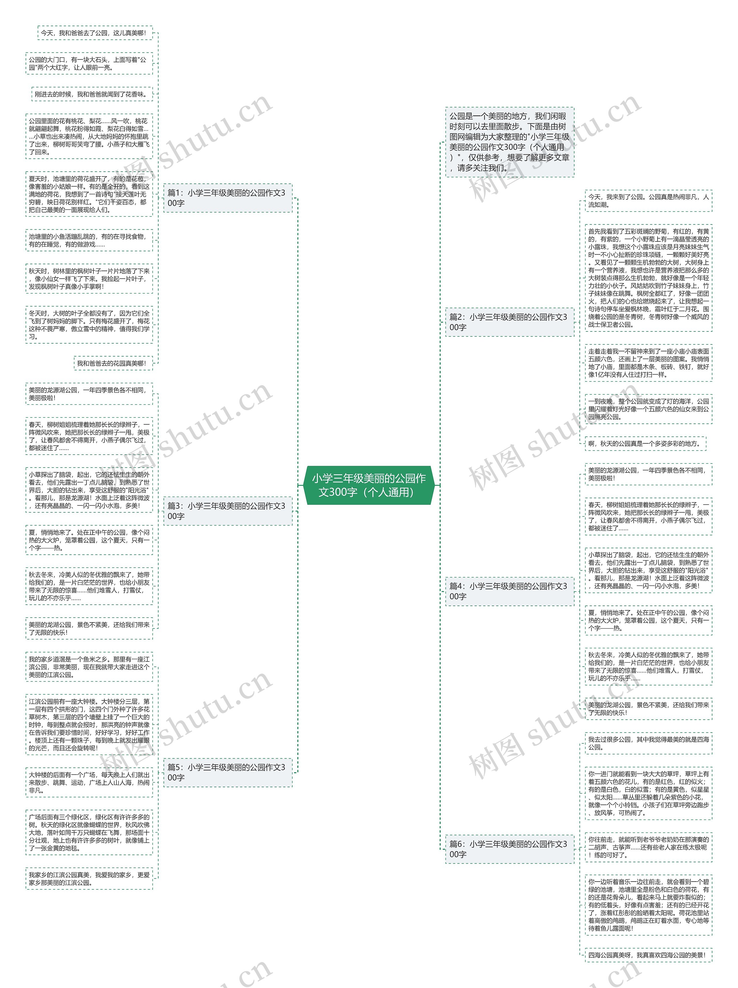 小学三年级美丽的公园作文300字（个人通用）思维导图