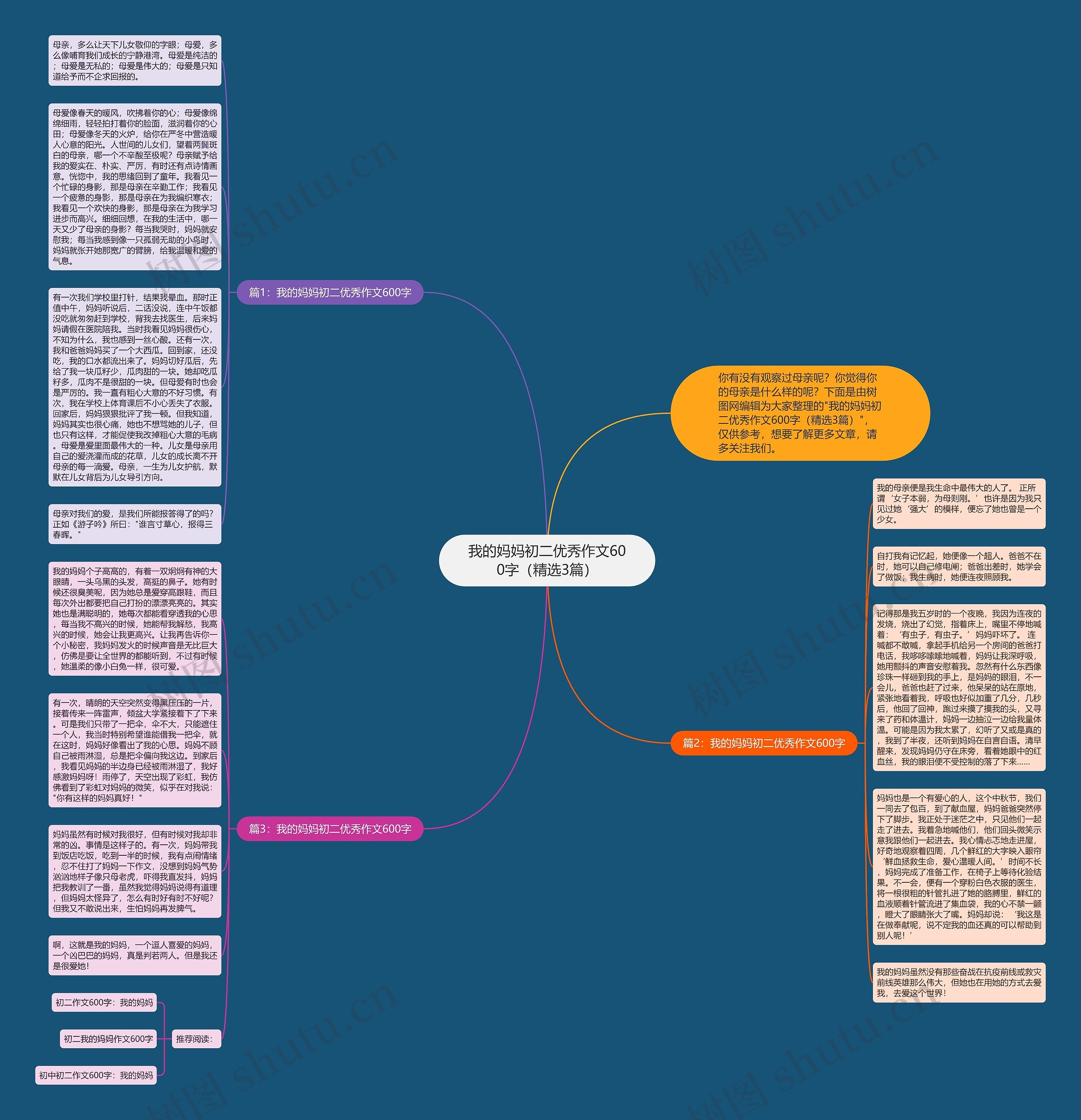 我的妈妈初二优秀作文600字（精选3篇）思维导图