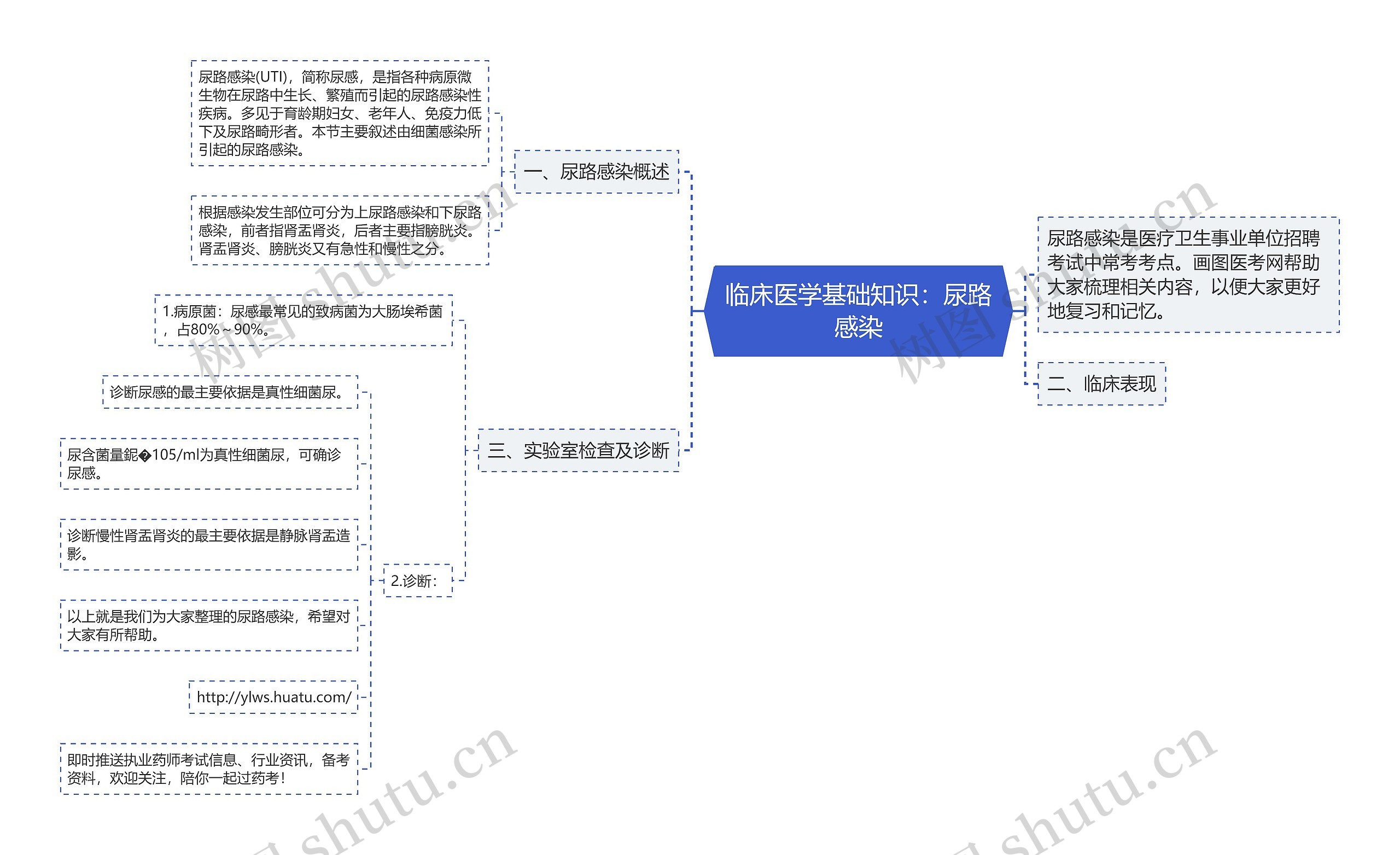 临床医学基础知识：尿路感染思维导图