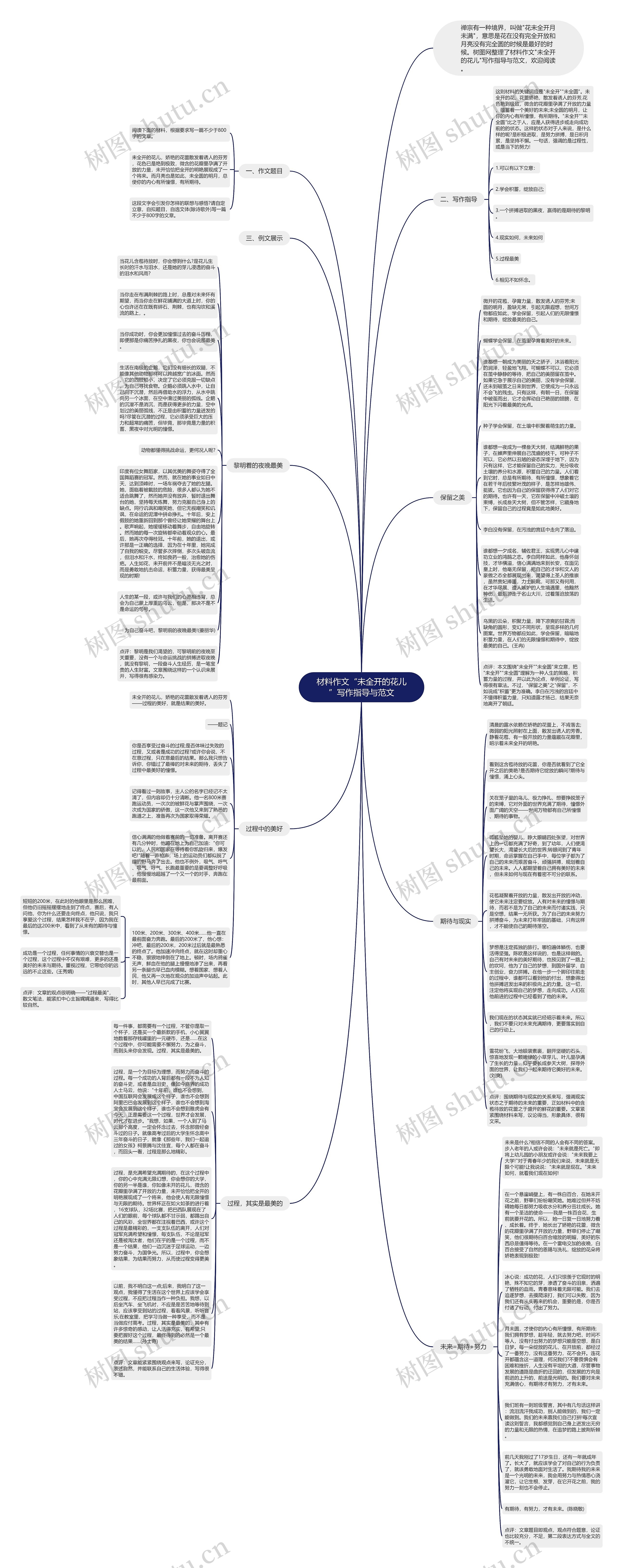 材料作文“未全开的花儿”写作指导与范文思维导图