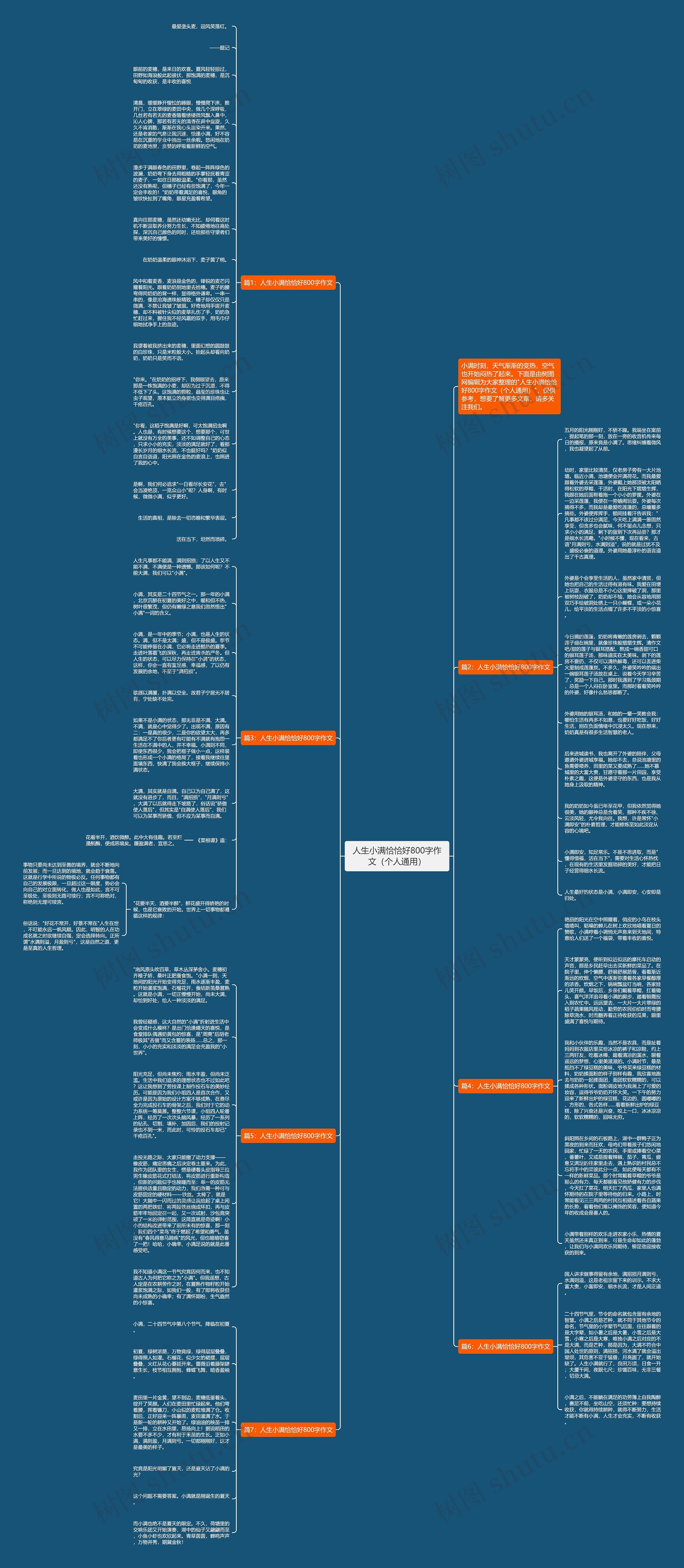 人生小满恰恰好800字作文（个人通用）思维导图
