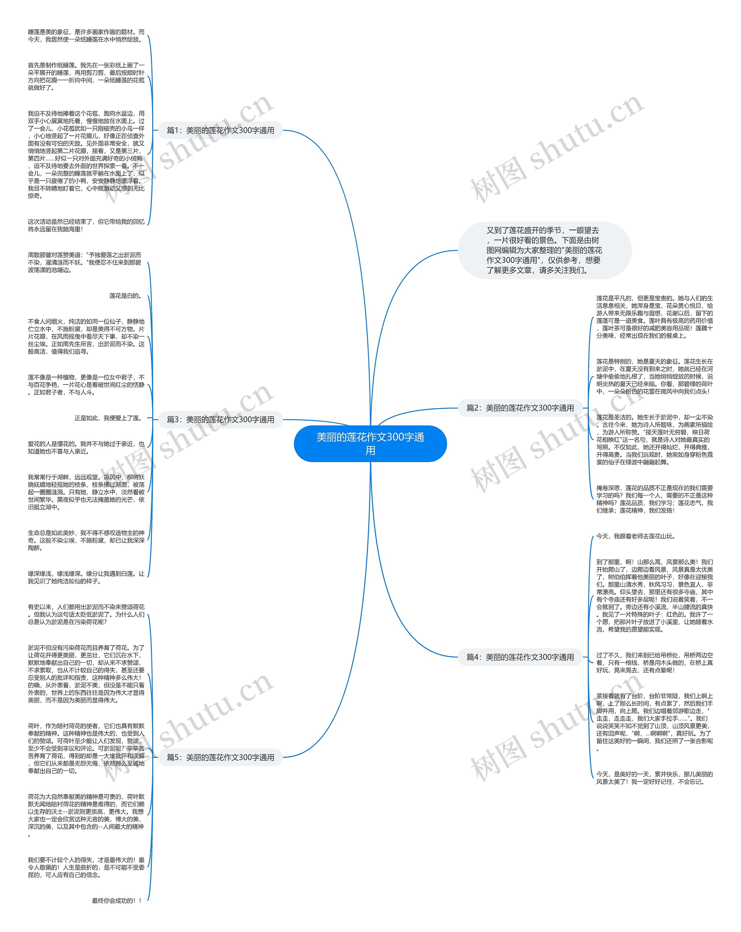 美丽的莲花作文300字通用思维导图高清图 美丽的莲花作文300字通用思维导图
