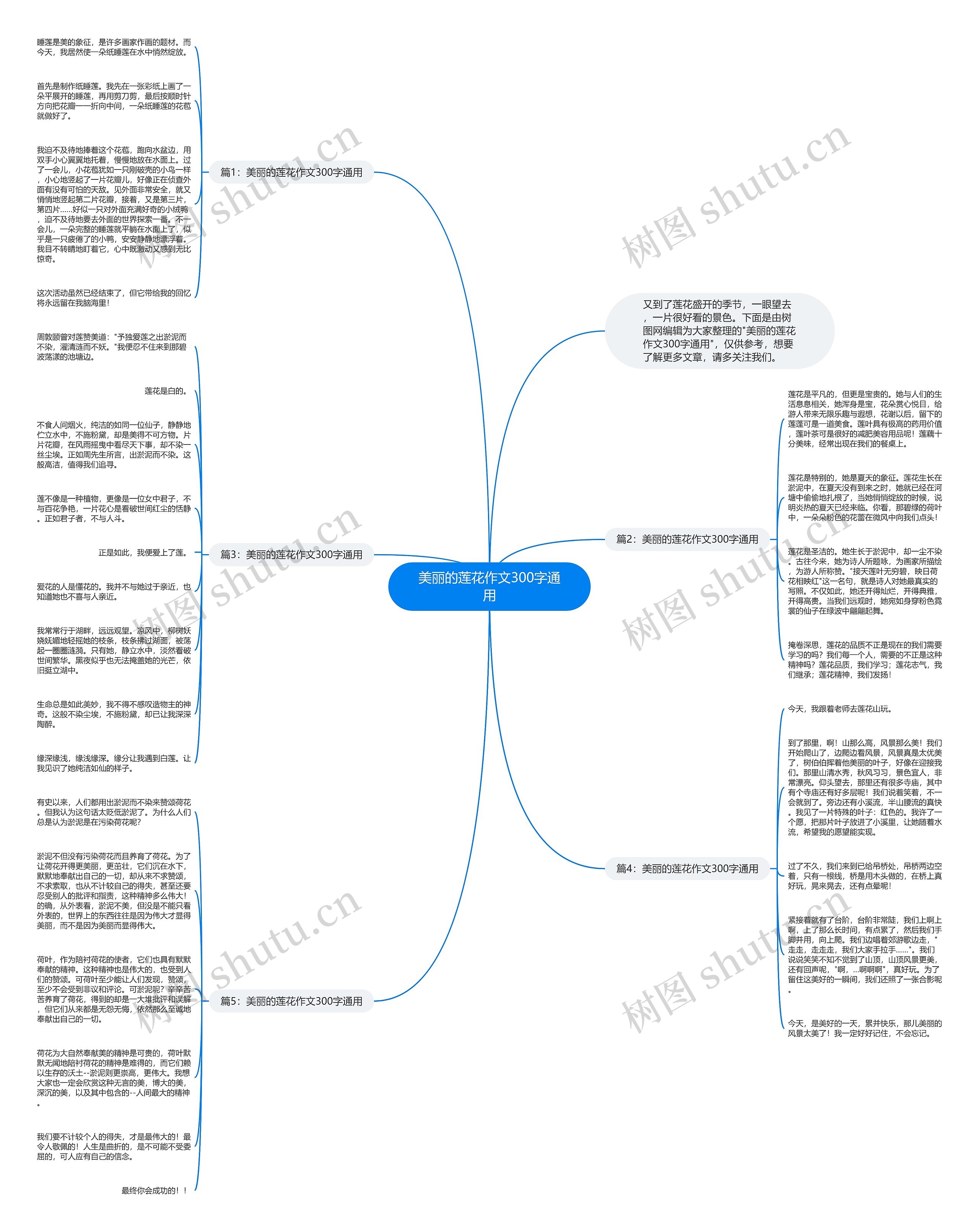 美丽的莲花作文300字通用思维导图