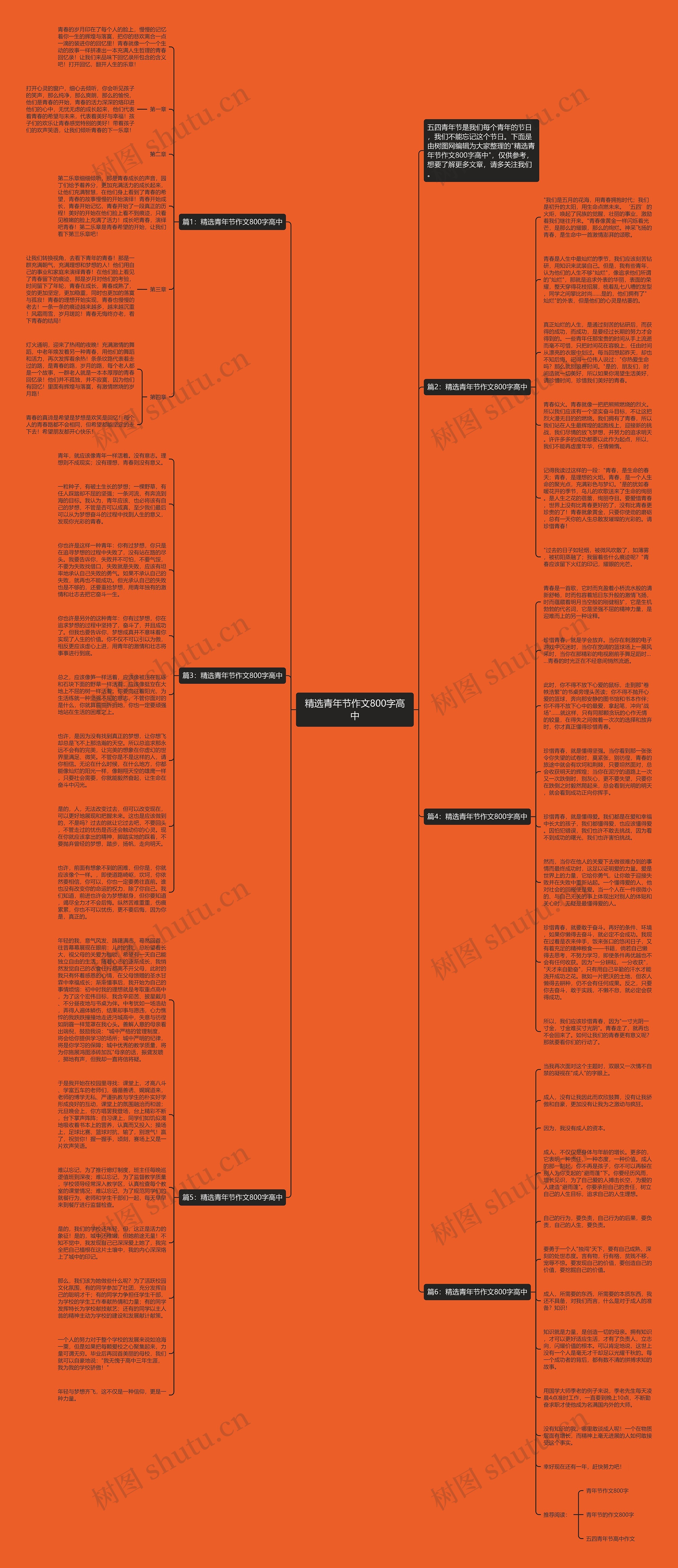 精选青年节作文800字高中思维导图