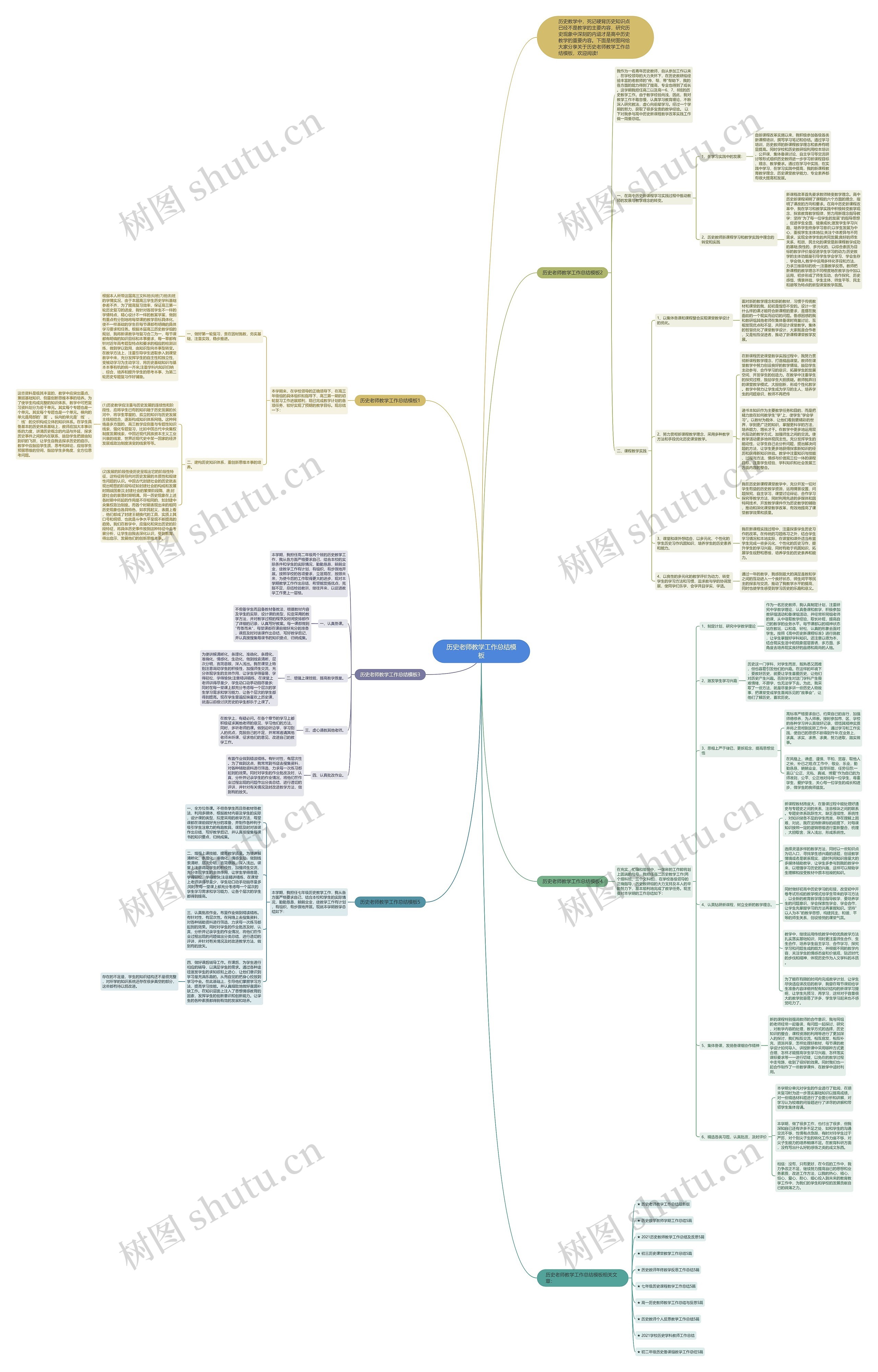 历史老师教学工作总结思维导图
