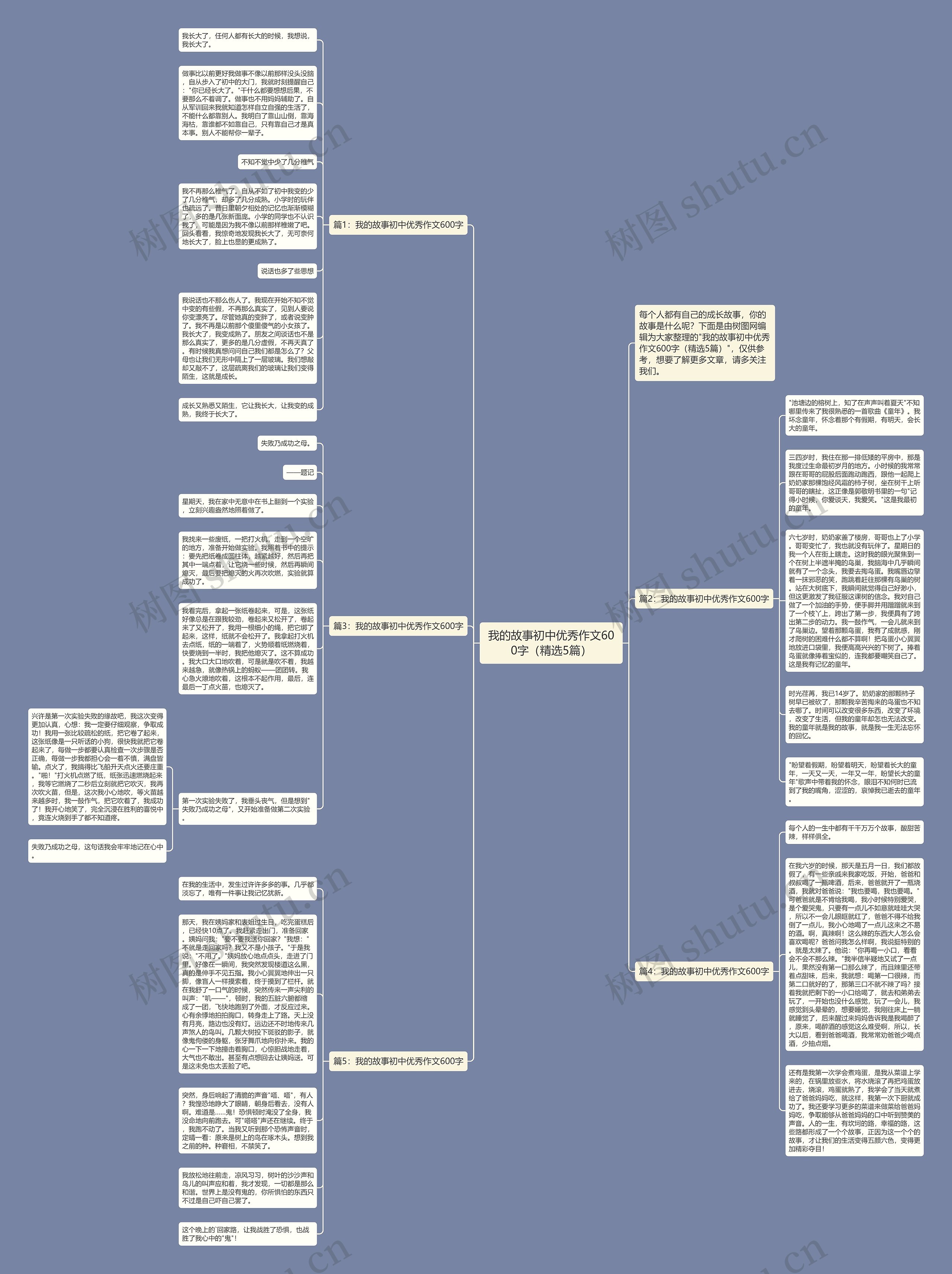 我的故事初中优秀作文600字（精选5篇）