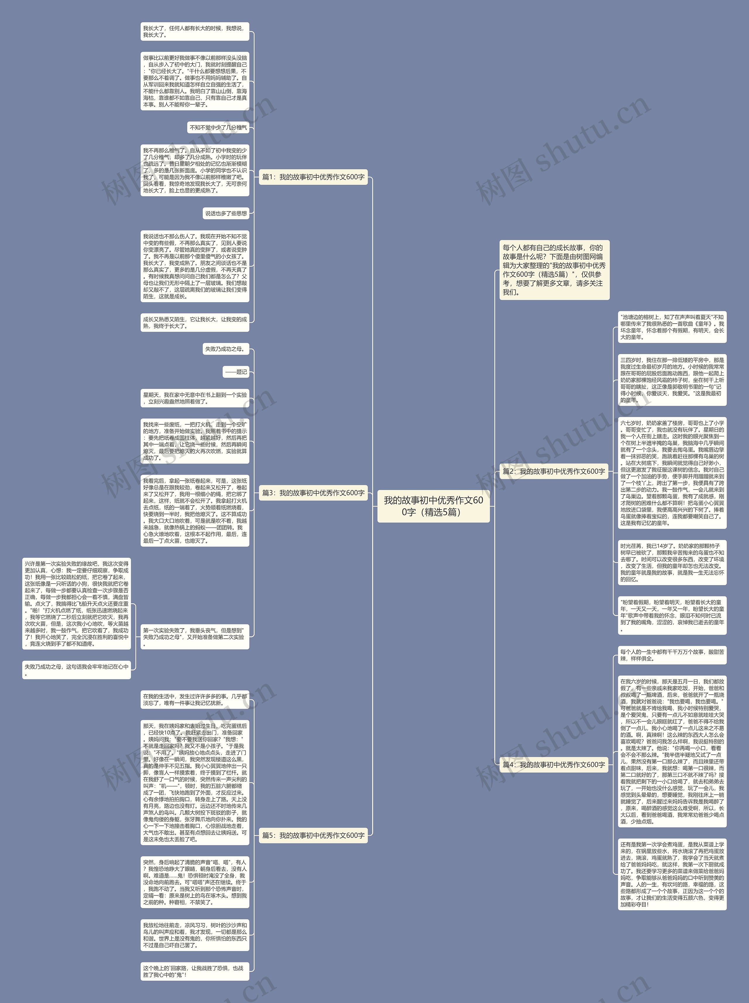 我的故事初中优秀作文600字（精选5篇）思维导图