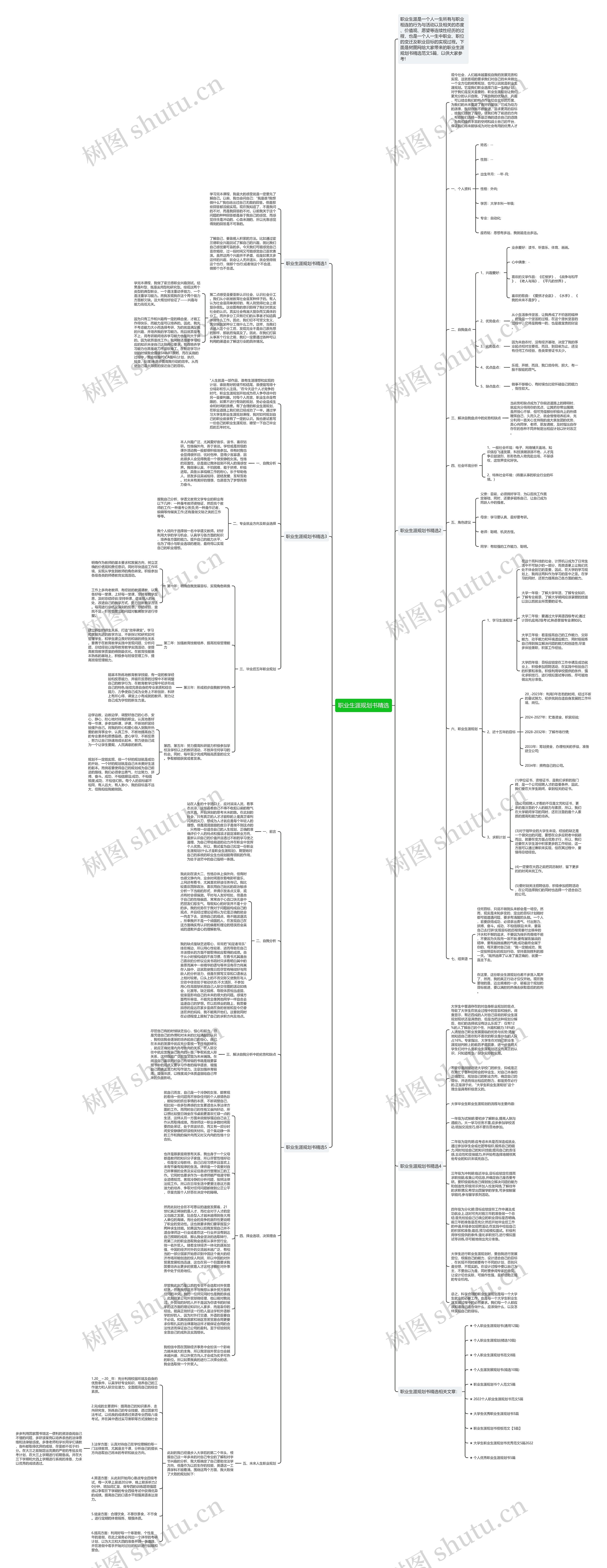 职业生涯规划书精选思维导图