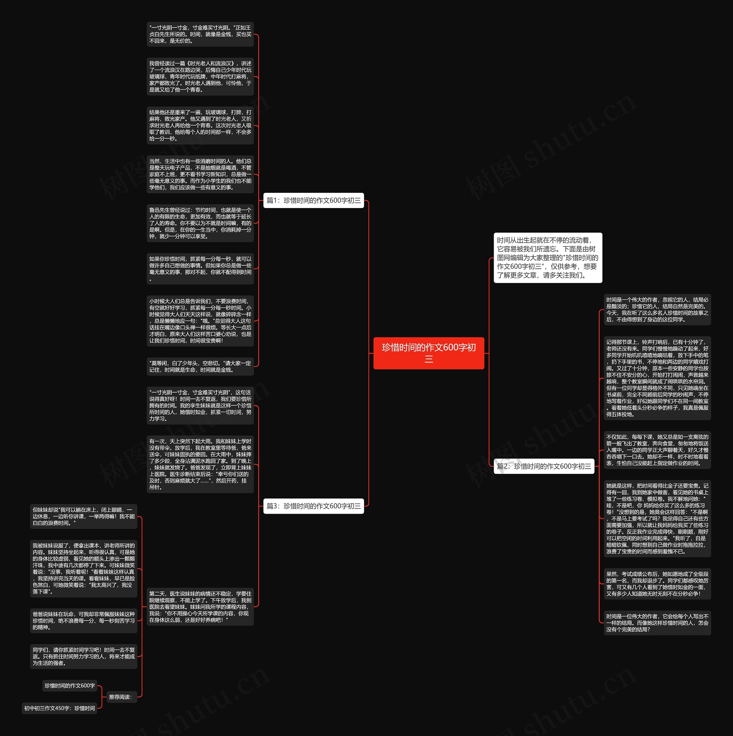 珍惜时间的作文600字初三思维导图