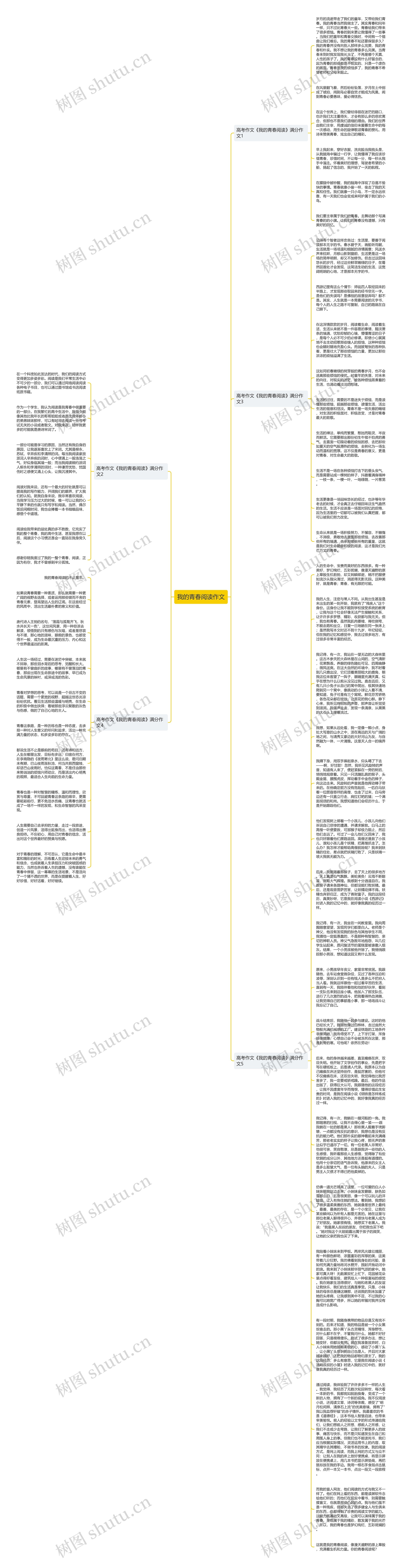 我的青春阅读作文思维导图