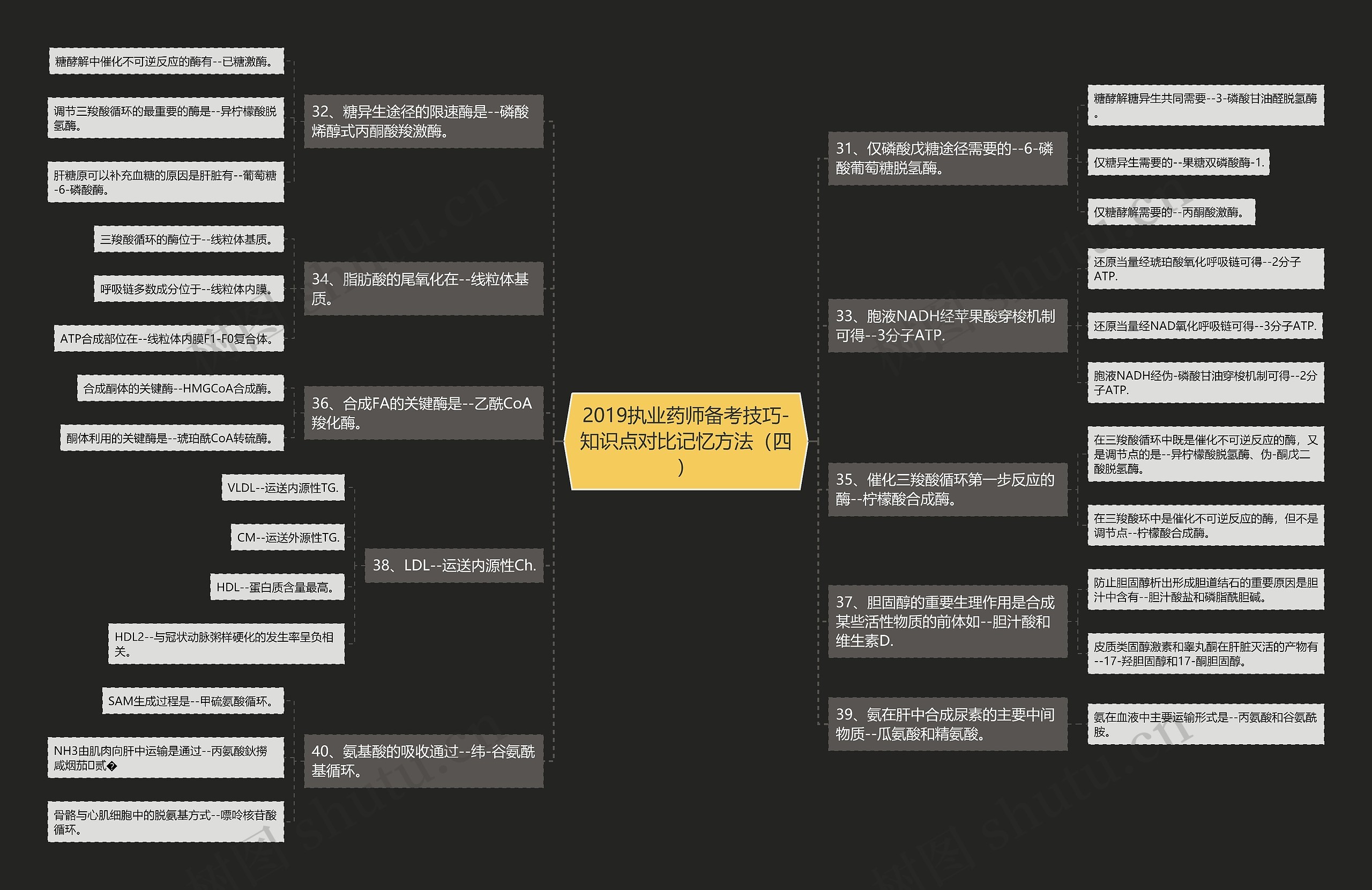 2019执业药师备考技巧-知识点对比记忆方法（四）思维导图