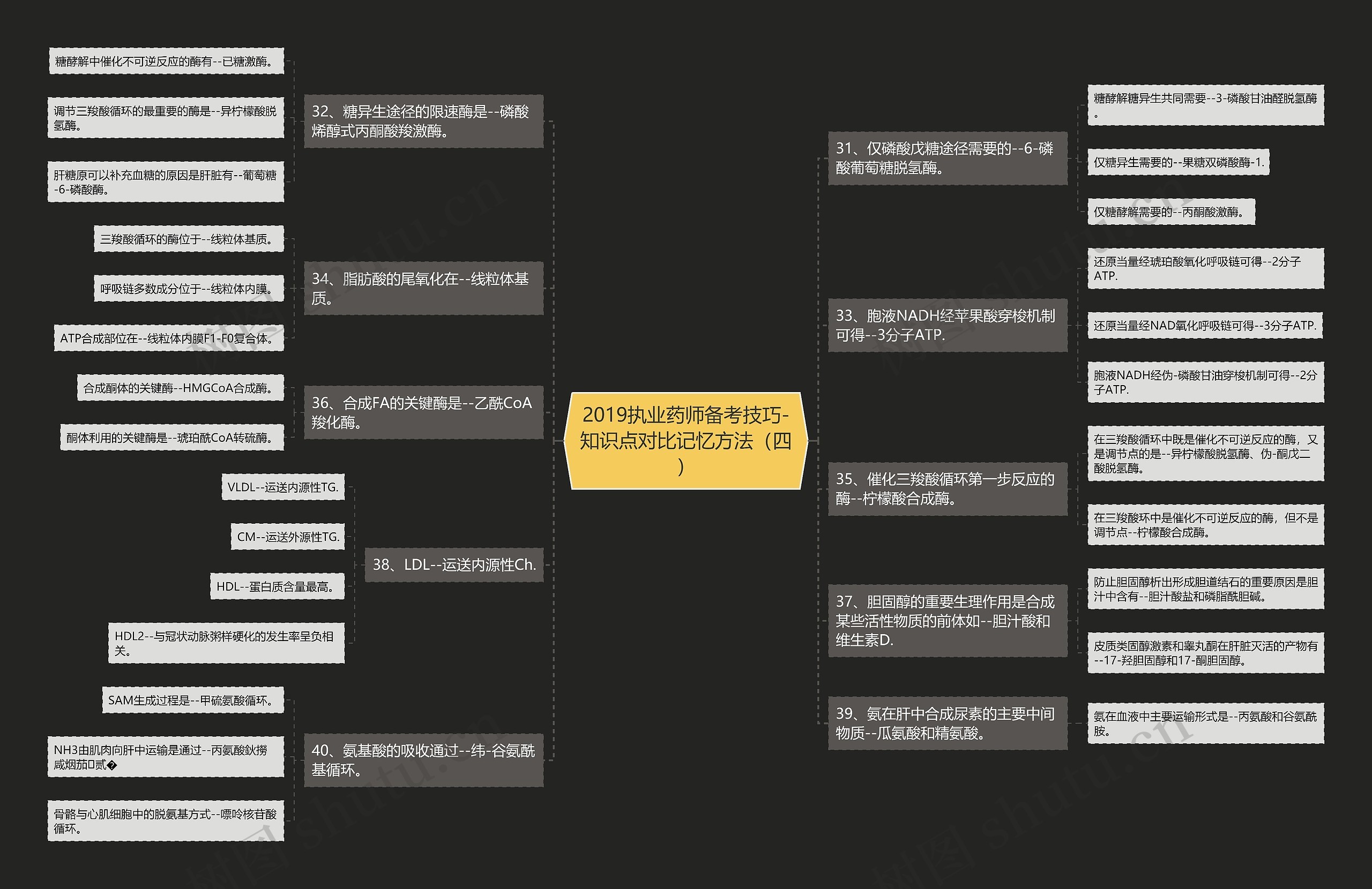 2019执业药师备考技巧-知识点对比记忆方法(四)思维导图高清图 2019执业药师备考技巧-知识点对比记忆方法(四)思维导图