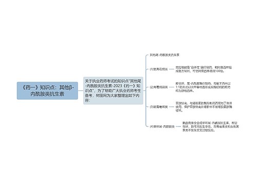 《药一》知识点：其他β-内酰胺类抗生素