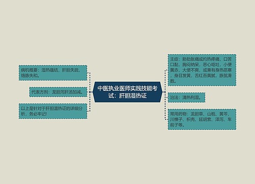 中医执业医师实践技能考试：肝胆湿热证