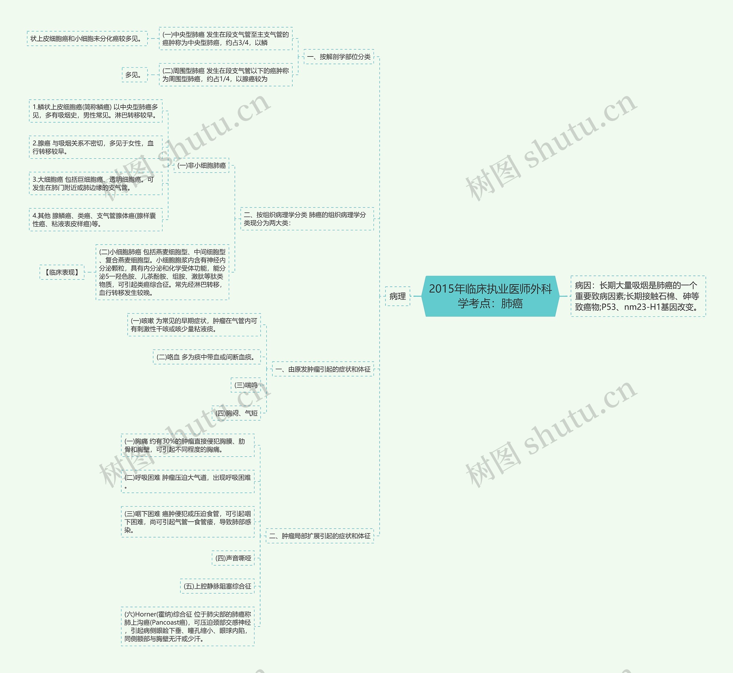 2015年临床执业医师外科学考点：肺癌思维导图