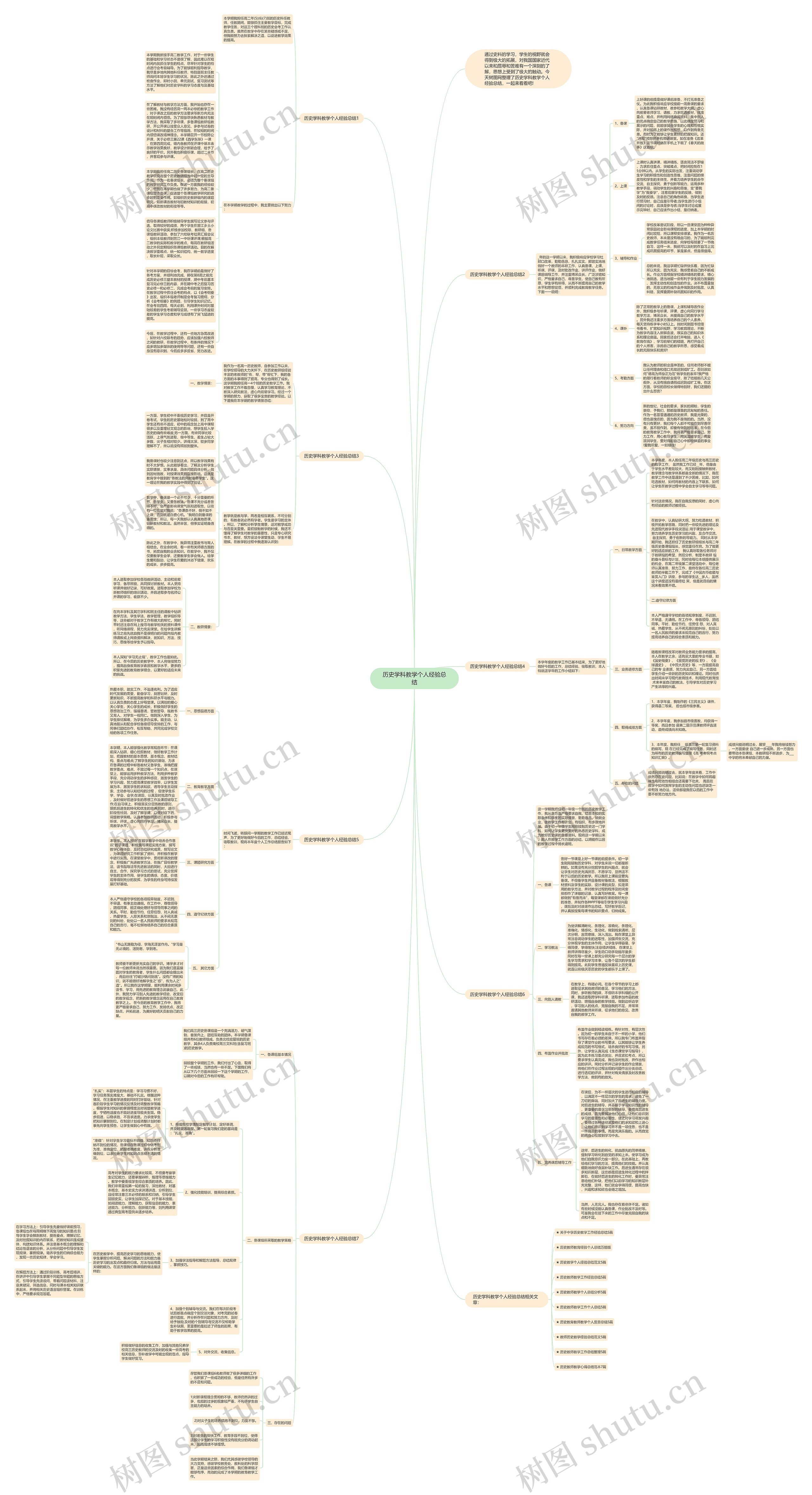 历史学科教学个人经验总结思维导图