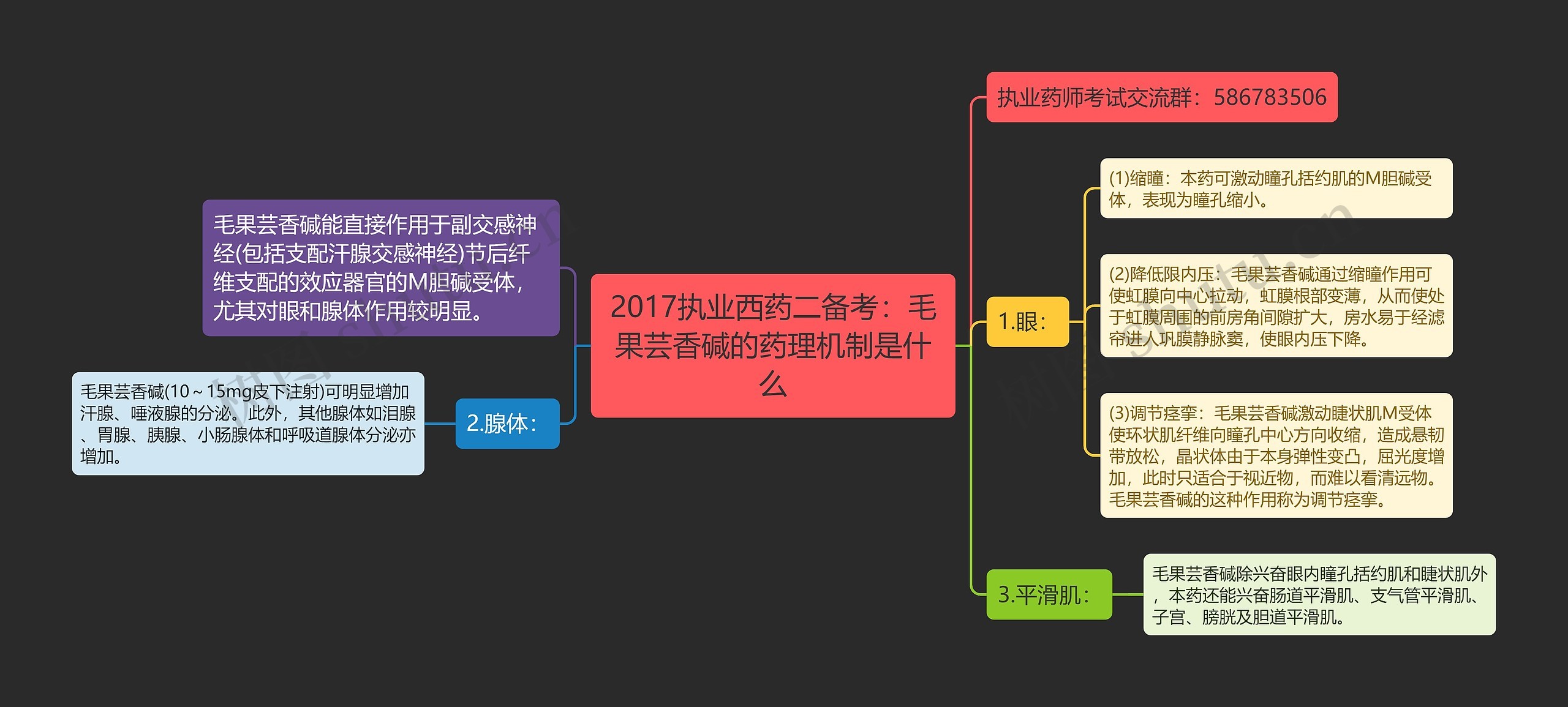 2017执业西药二备考：毛果芸香碱的药理机制是什么思维导图