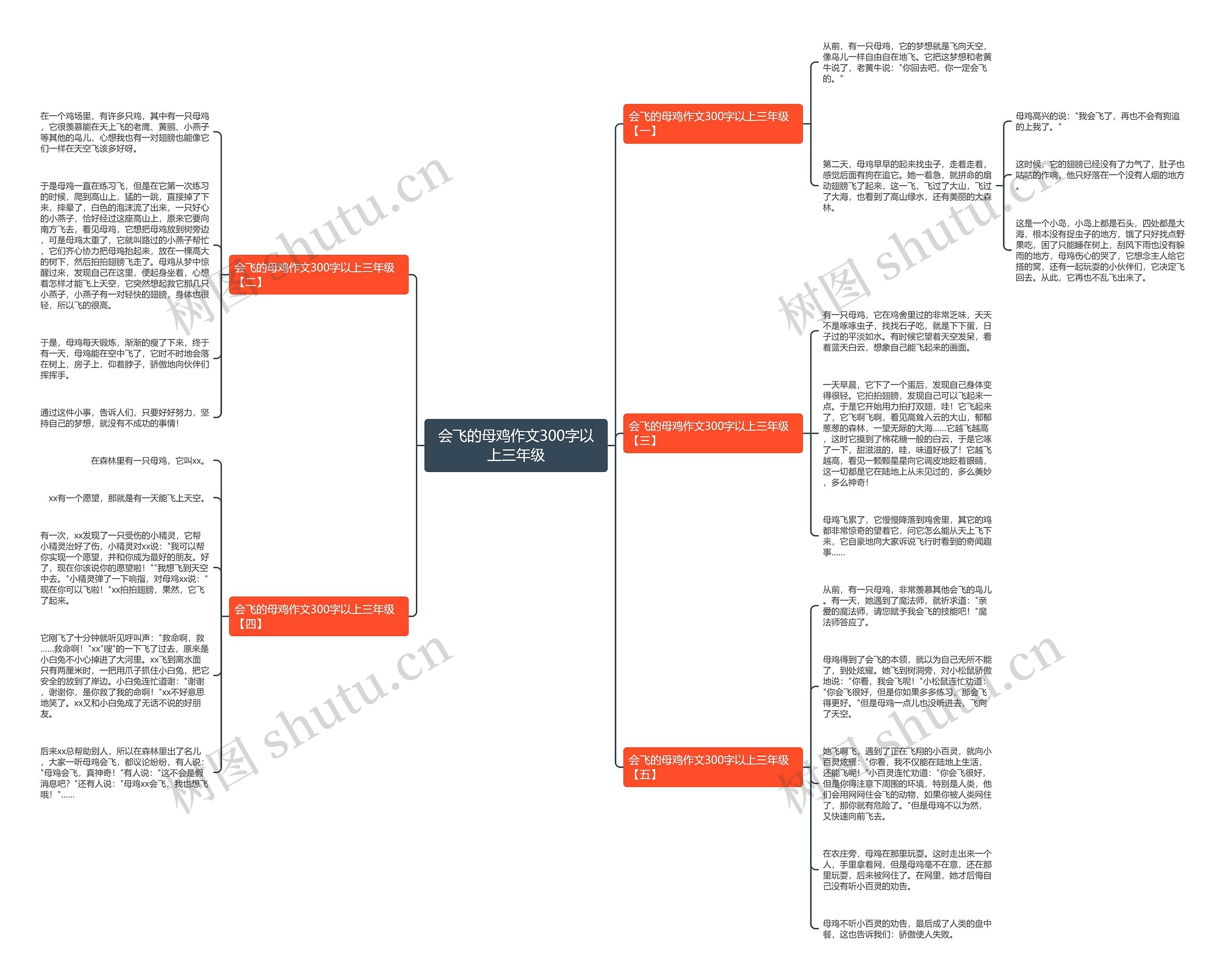 会飞的母鸡作文300字以上三年级思维导图