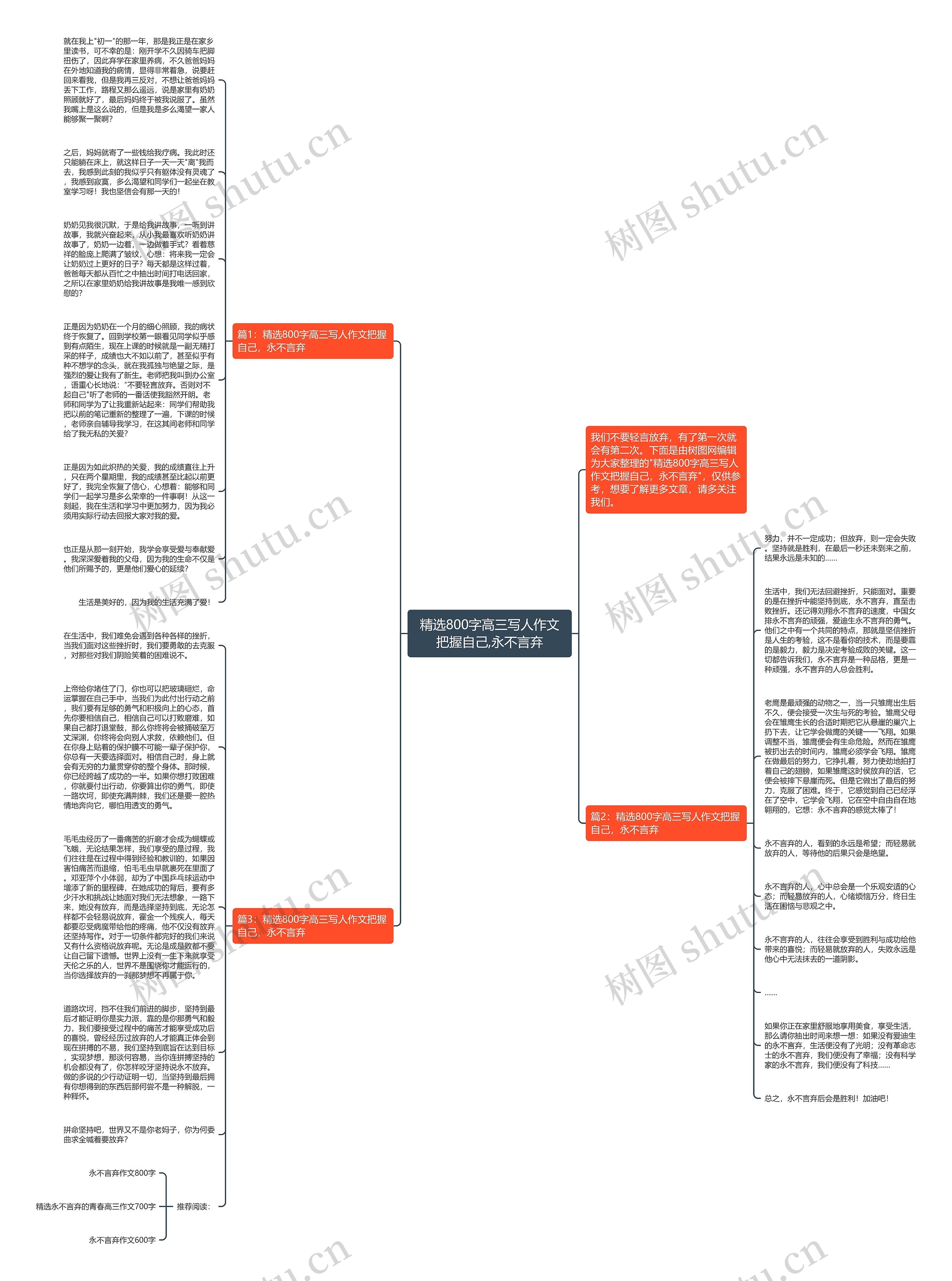 精选800字高三写人作文把握自己,永不言弃思维导图
