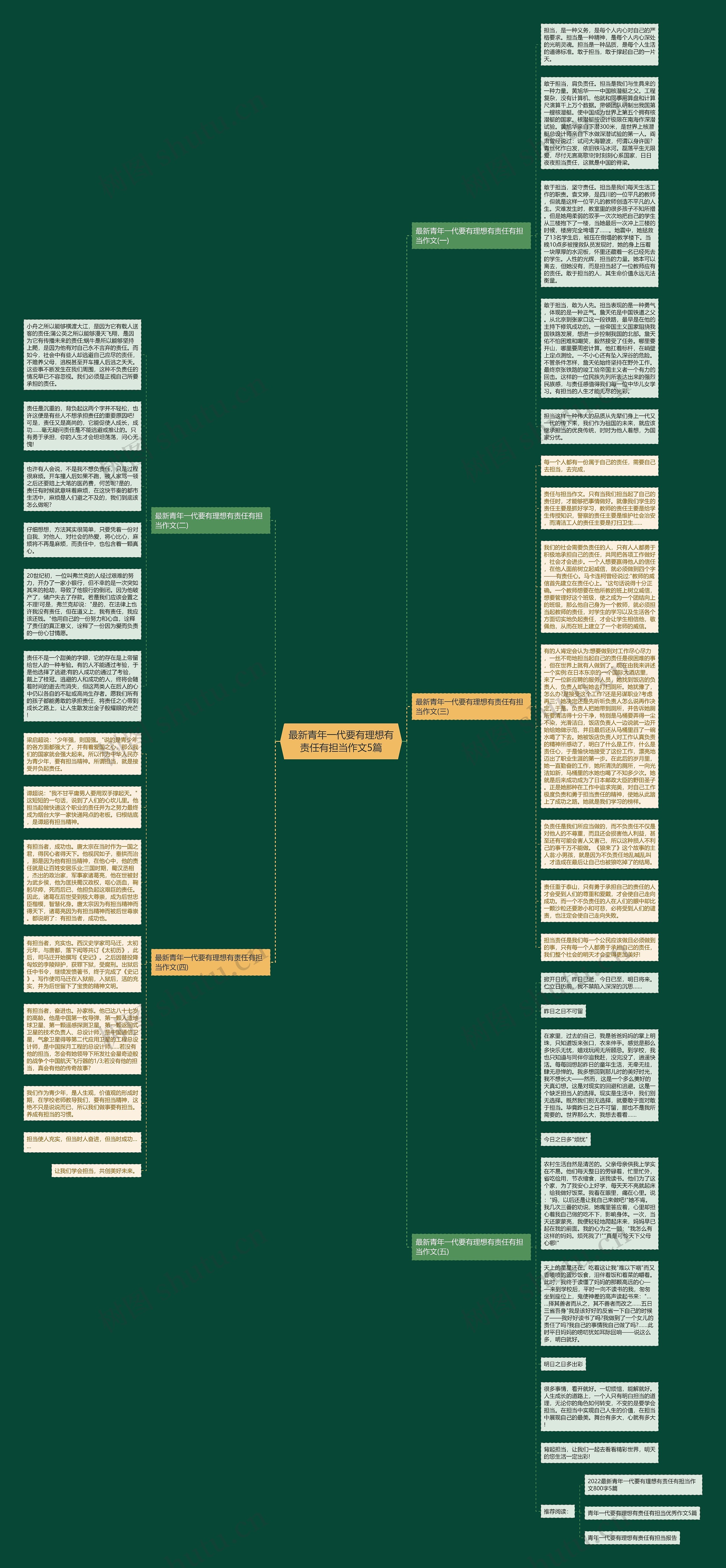 最新青年一代要有理想有责任有担当作文5篇思维导图
