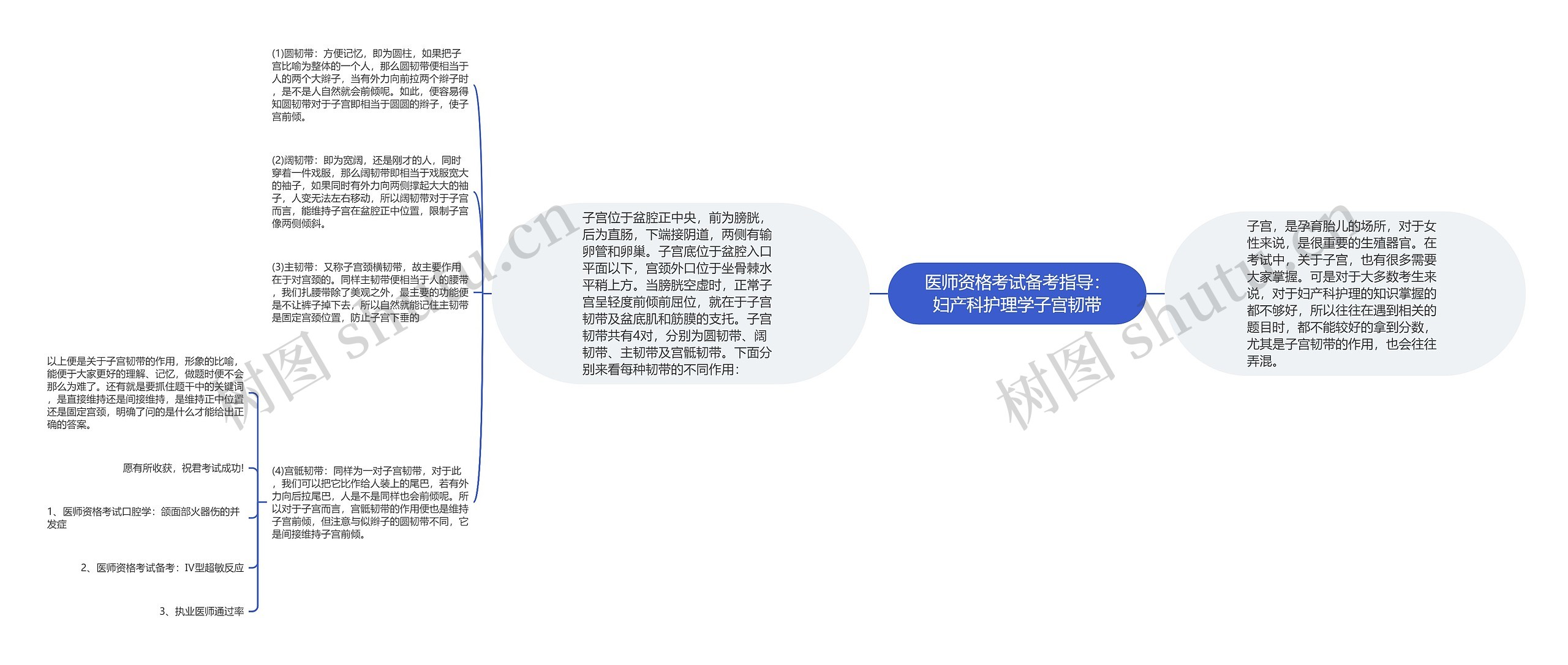 医师资格考试备考指导：妇产科护理学子宫韧带思维导图