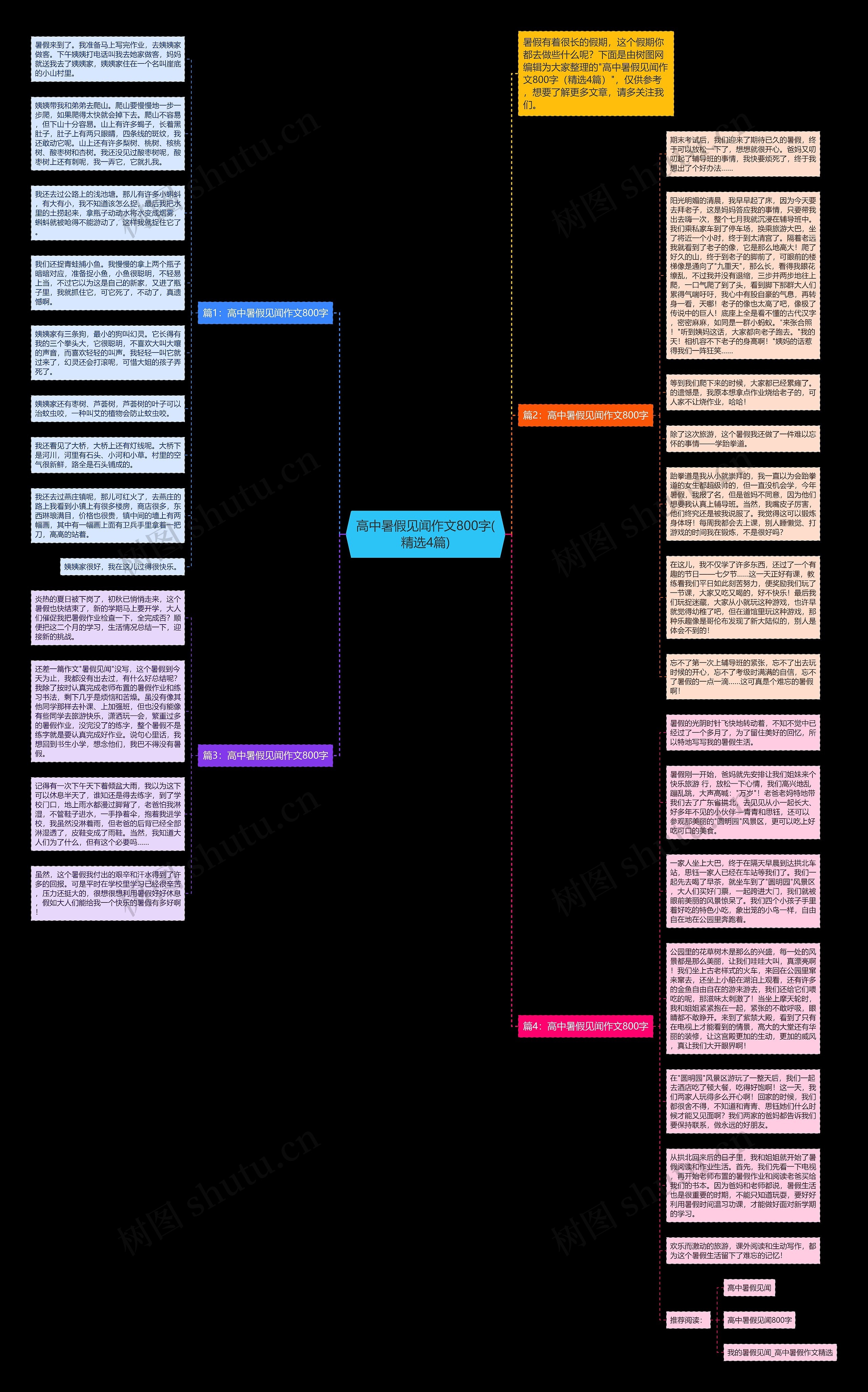 高中暑假见闻作文800字(精选4篇)思维导图