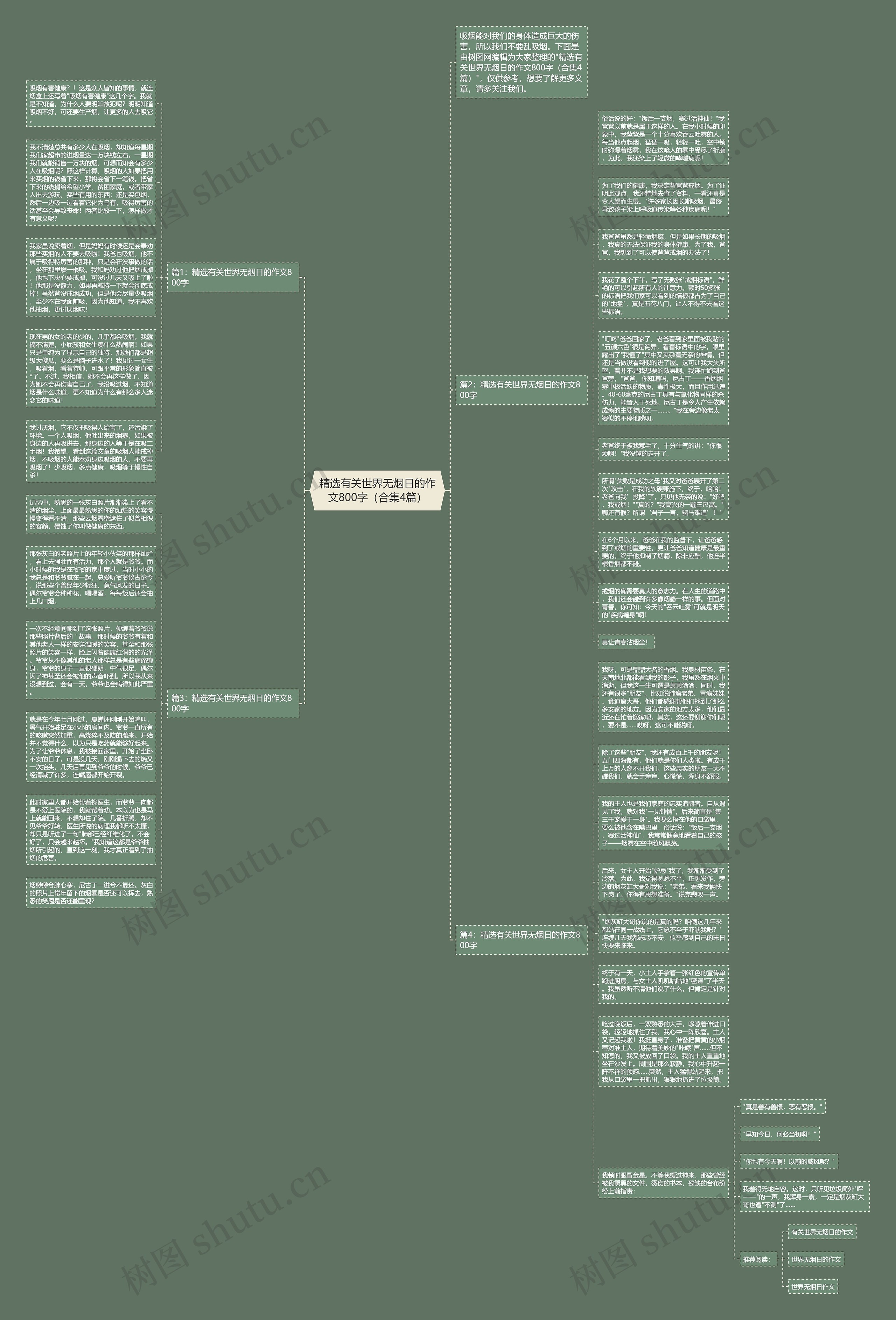 精选有关世界无烟日的作文800字（合集4篇）思维导图