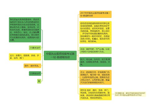 中医执业医师技能考试第一站-肠道蛔虫症