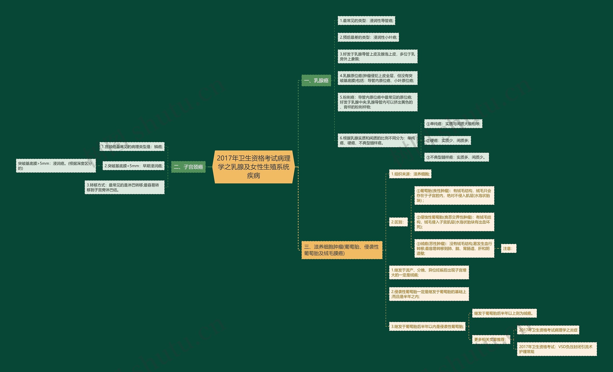 2017年卫生资格考试病理学之乳腺及女性生殖系统疾病思维导图