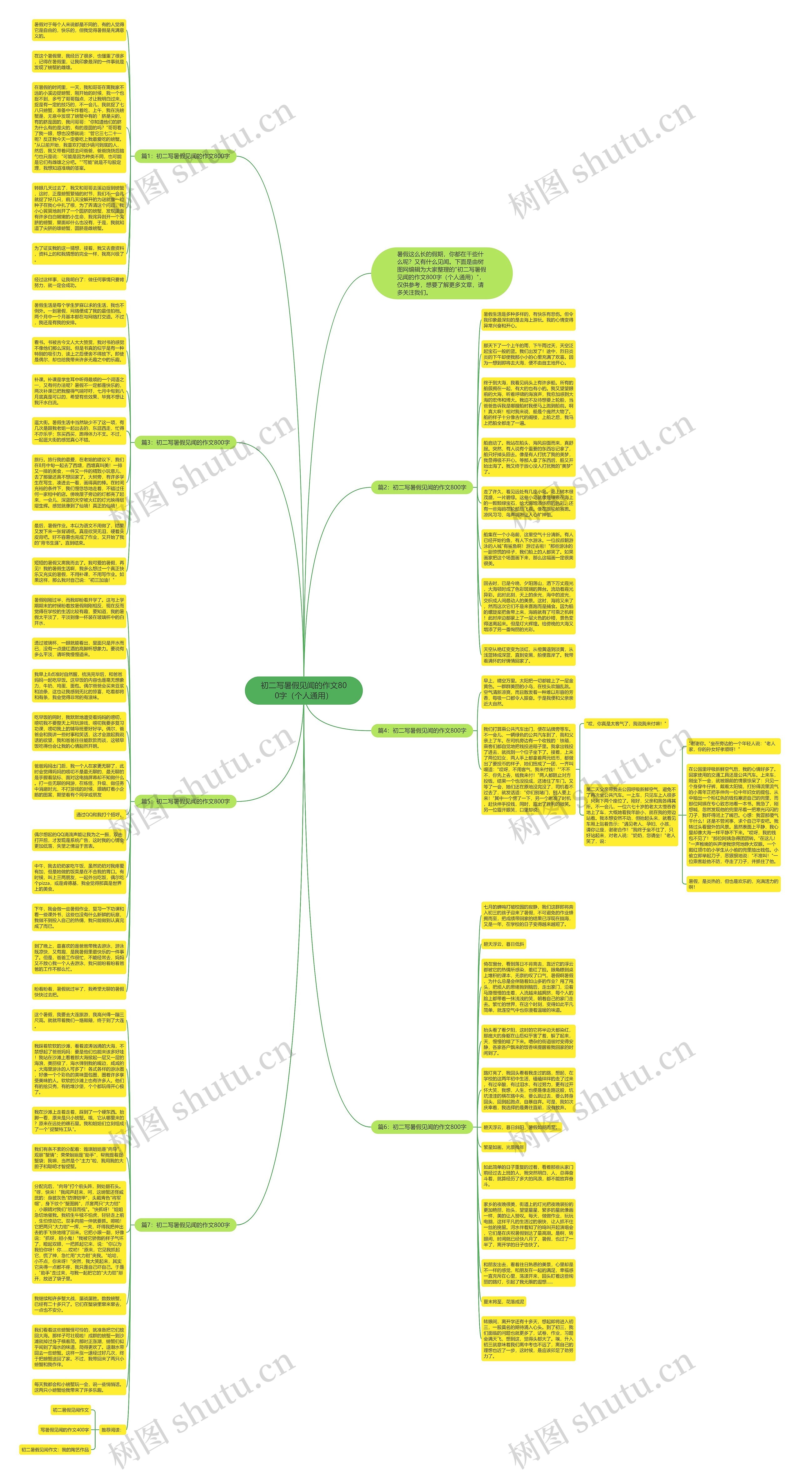 初二写暑假见闻的作文800字（个人通用）思维导图