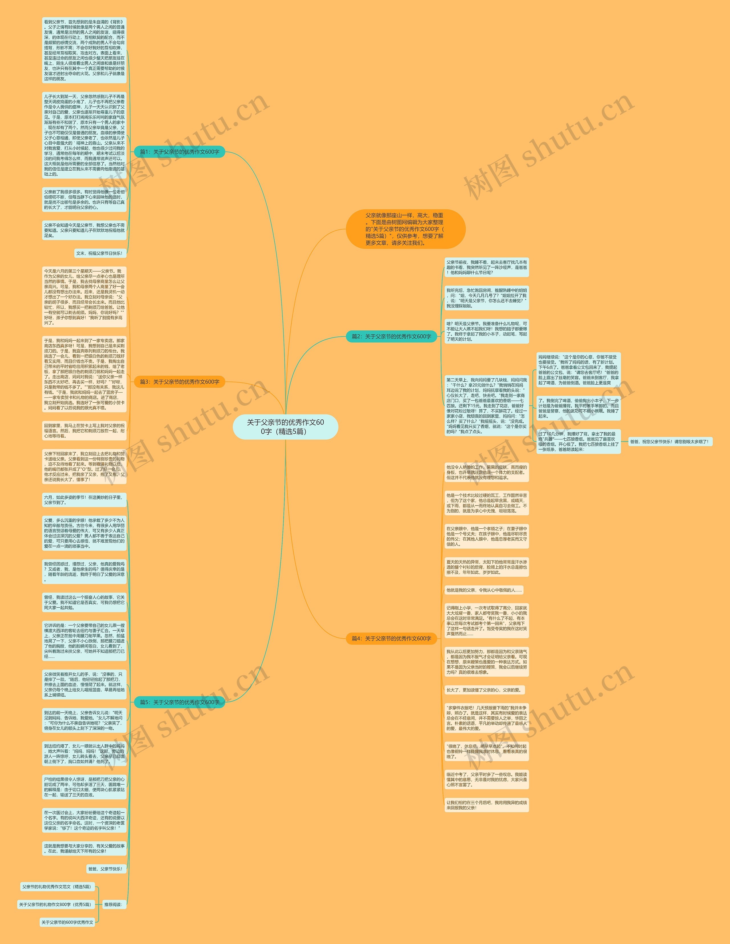 关于父亲节的优秀作文600字（精选5篇）思维导图