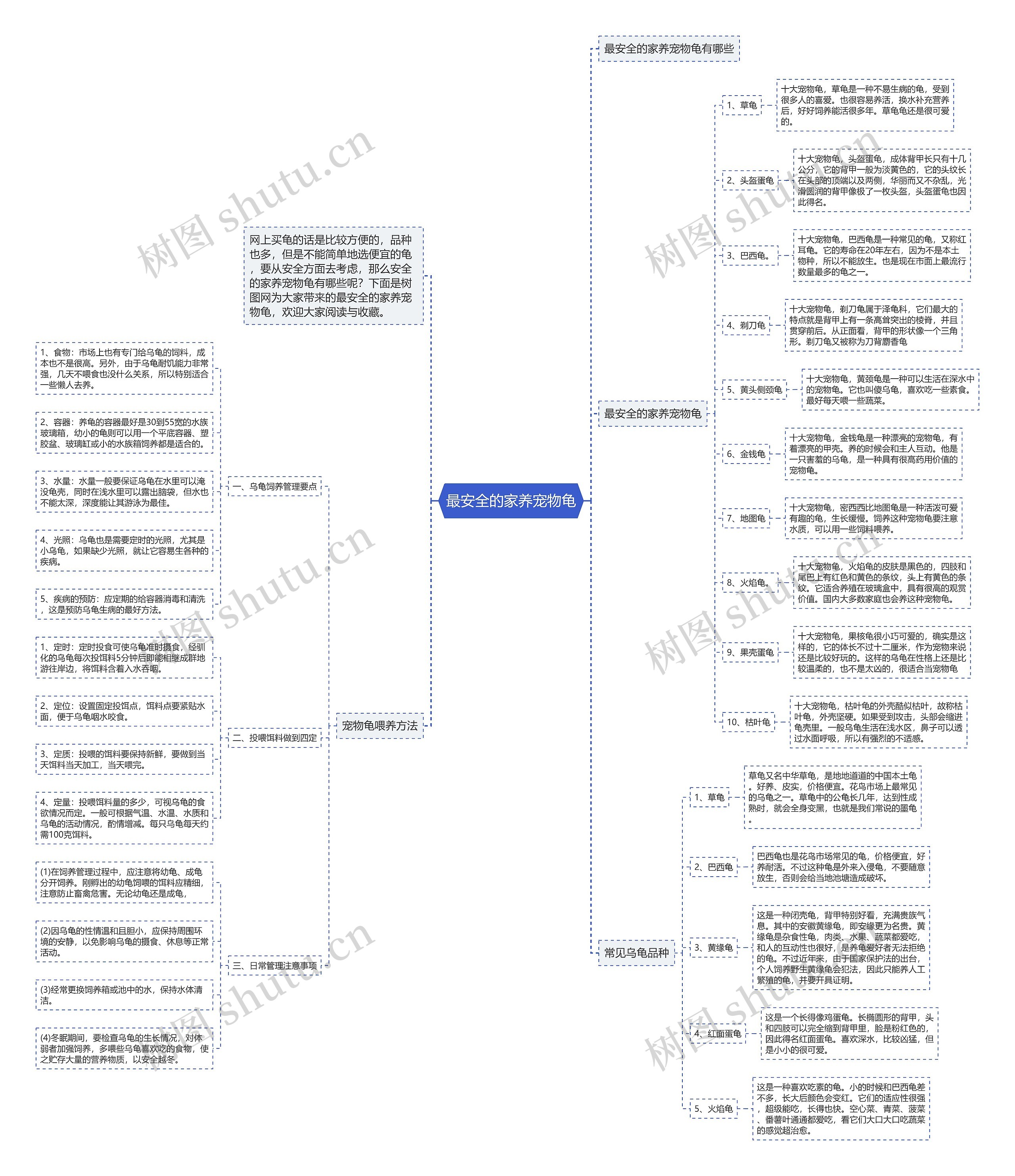 最安全的家养宠物龟思维导图