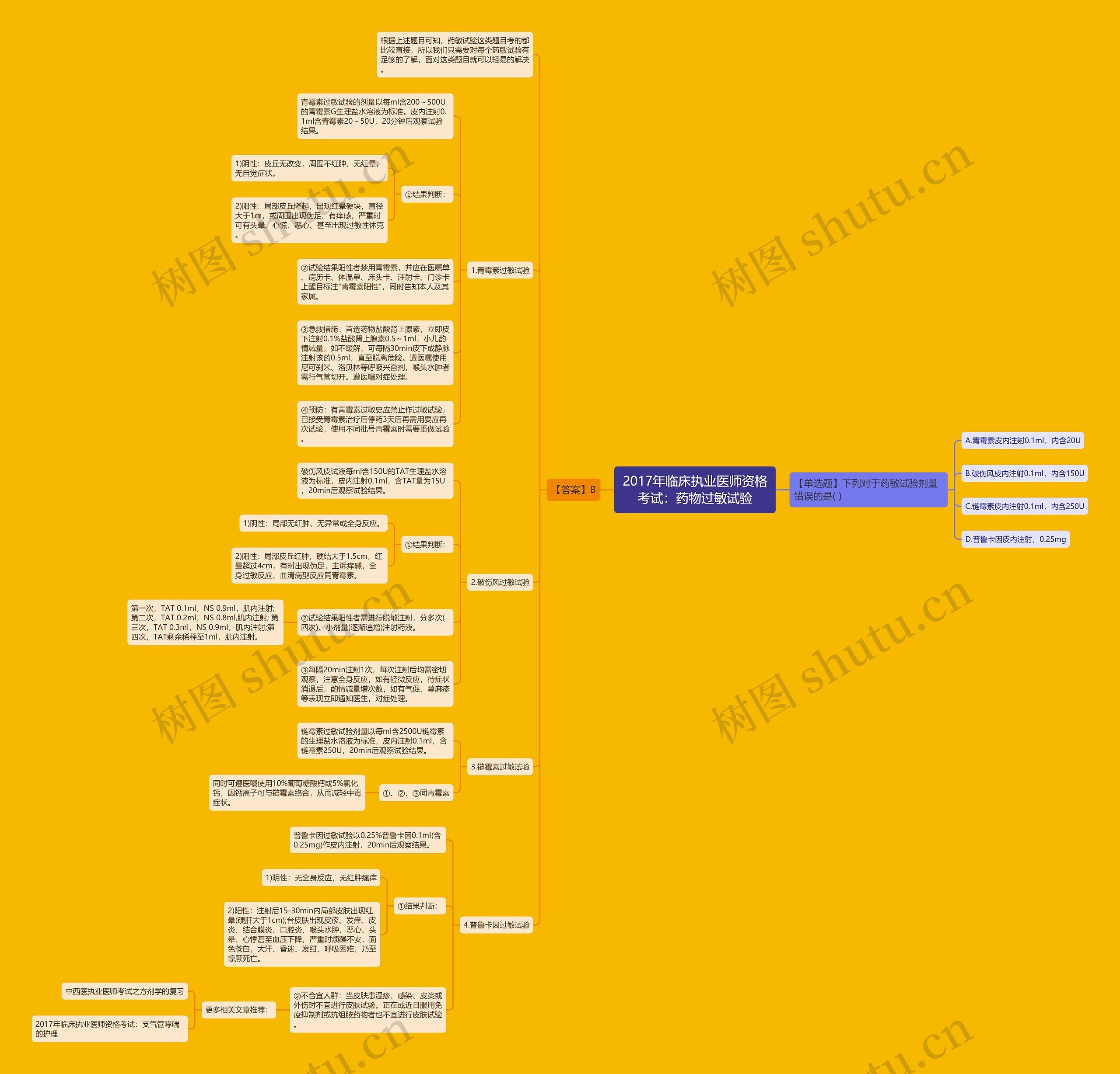 2017年临床执业医师资格考试：药物过敏试验思维导图