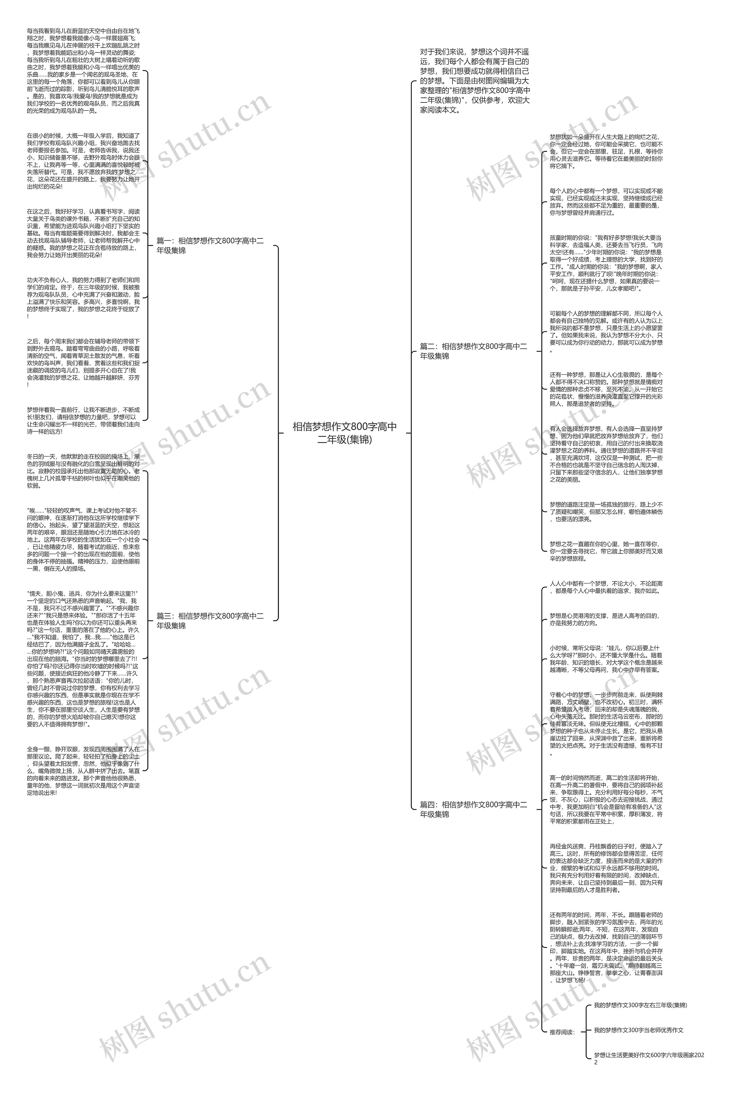 相信梦想作文800字高中二年级(集锦)思维导图