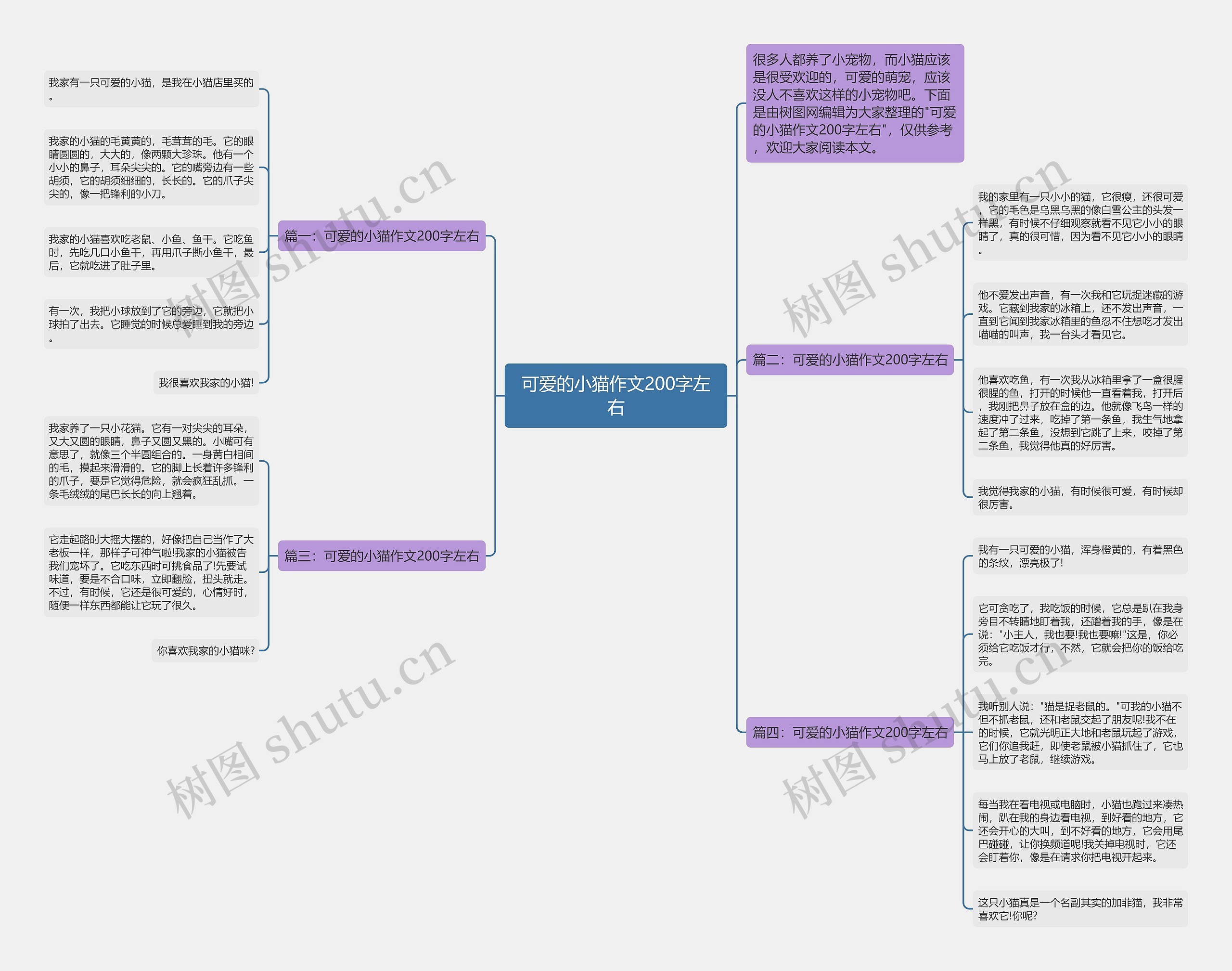 可爱的小猫作文200字左右思维导图