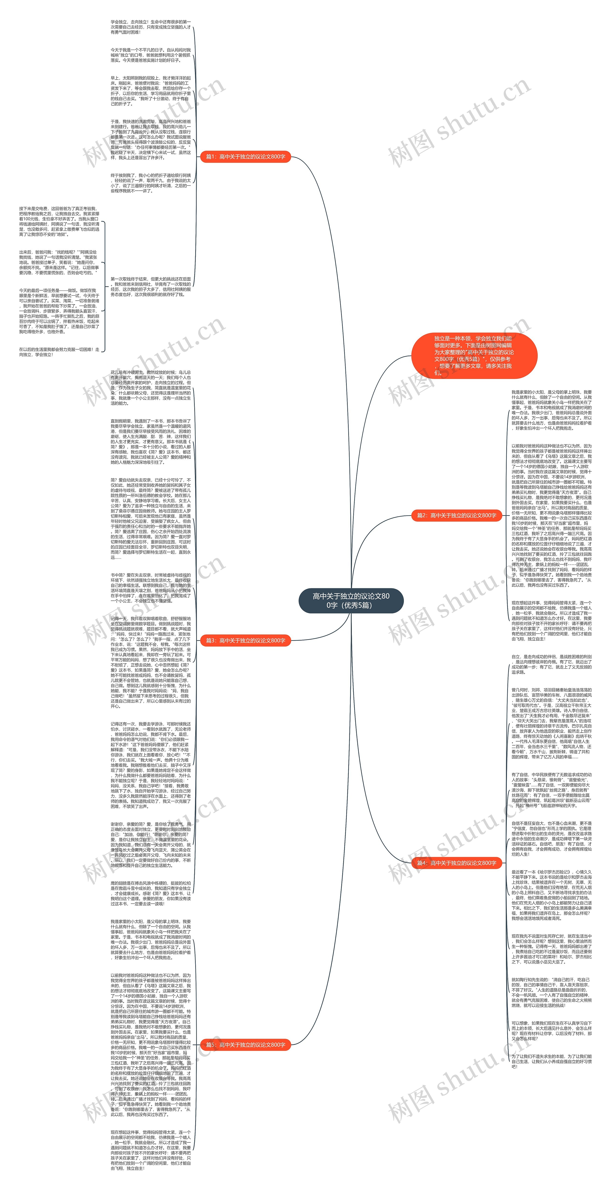 高中关于独立的议论文800字（优秀5篇）思维导图