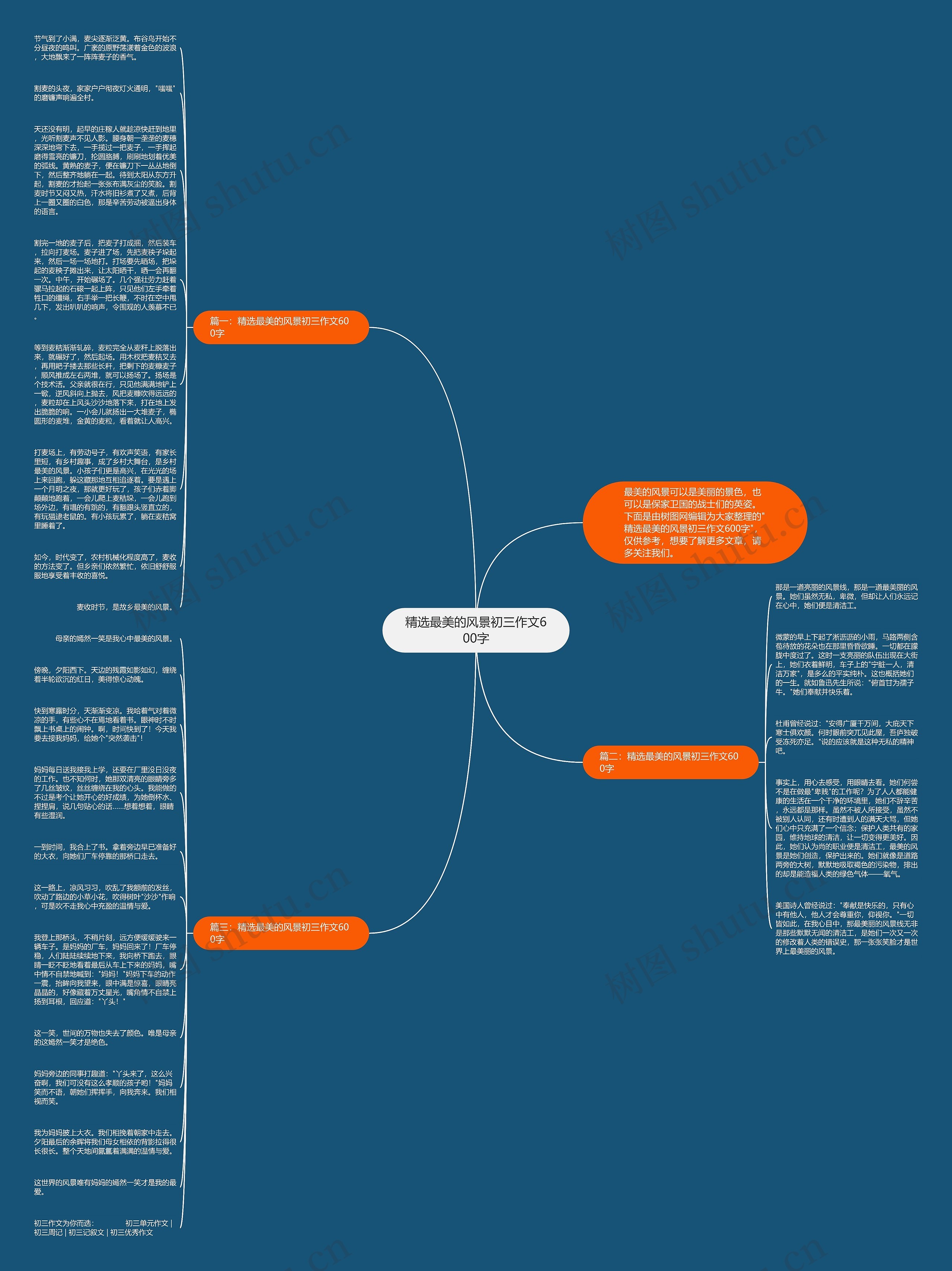 精选最美的风景初三作文600字思维导图