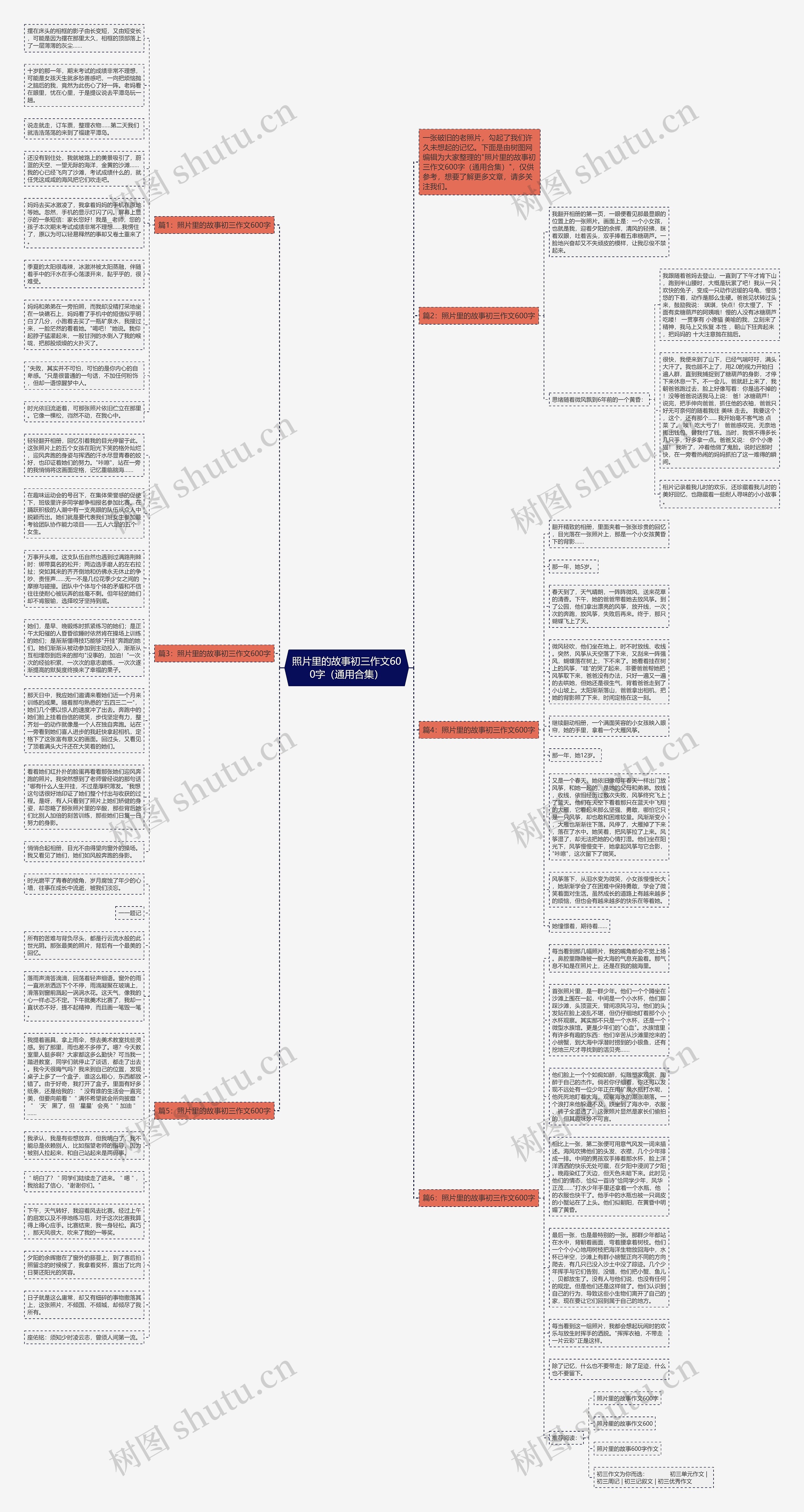 照片里的故事初三作文600字（通用合集）思维导图
